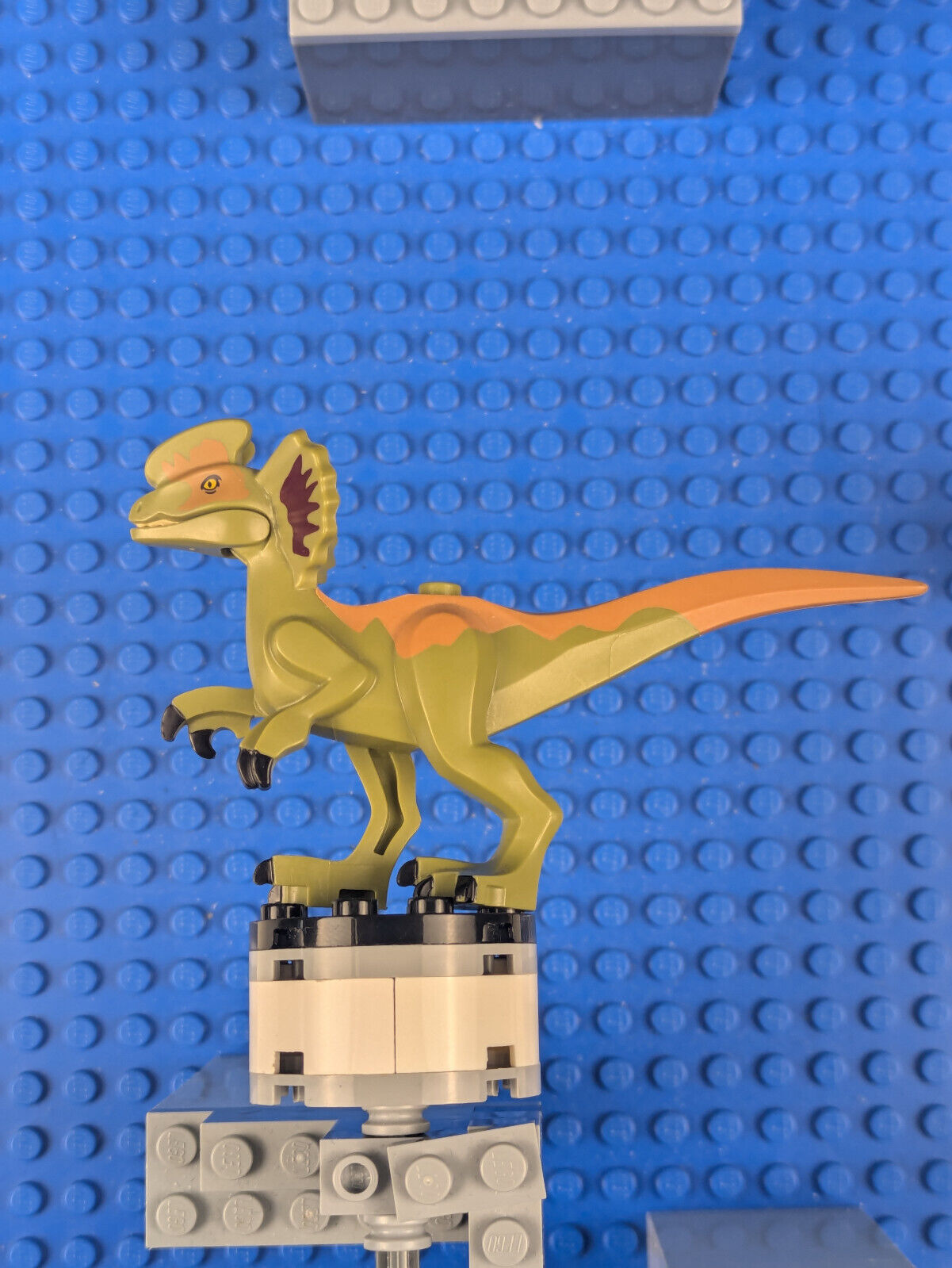 Lego Jurassic World: Legend of Isla Nublar: Dilophosaurus dilo03 Set 75934