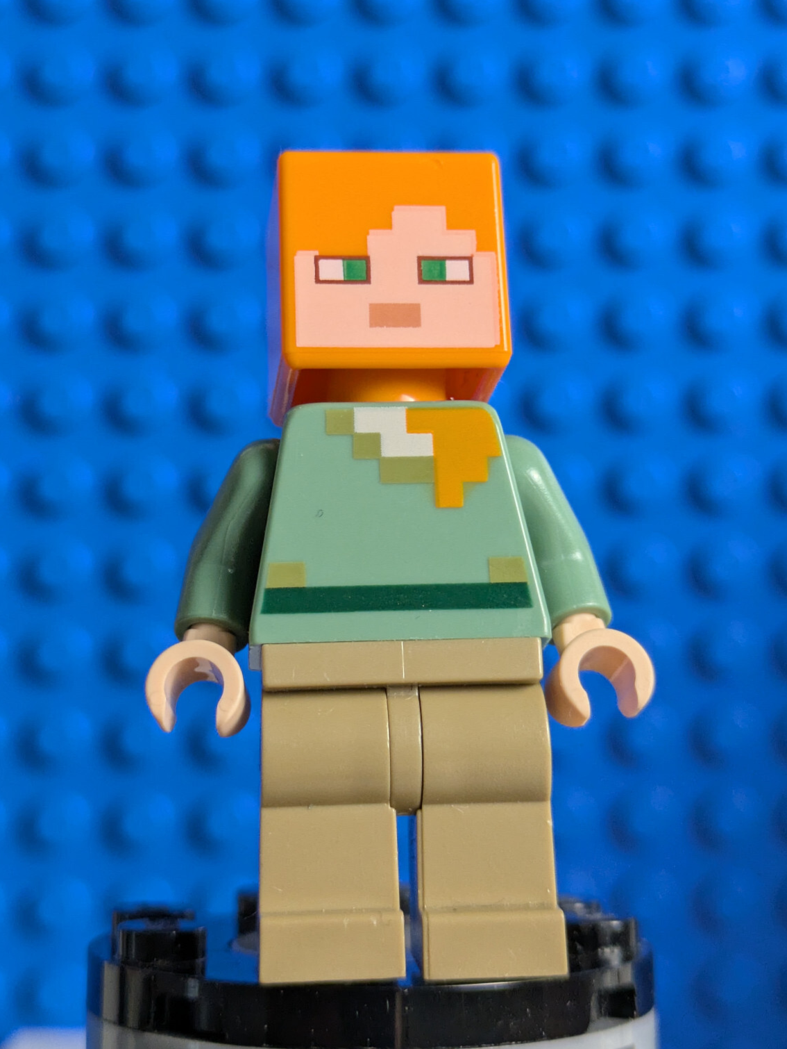 Lego Minecraft: Alex min047 Set 21134