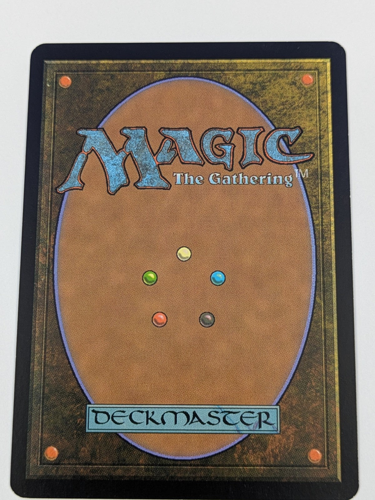 MTG Magic: Ravnica: City of Guilds: Tolsimir Wolfblood #236/306 Rare - NM