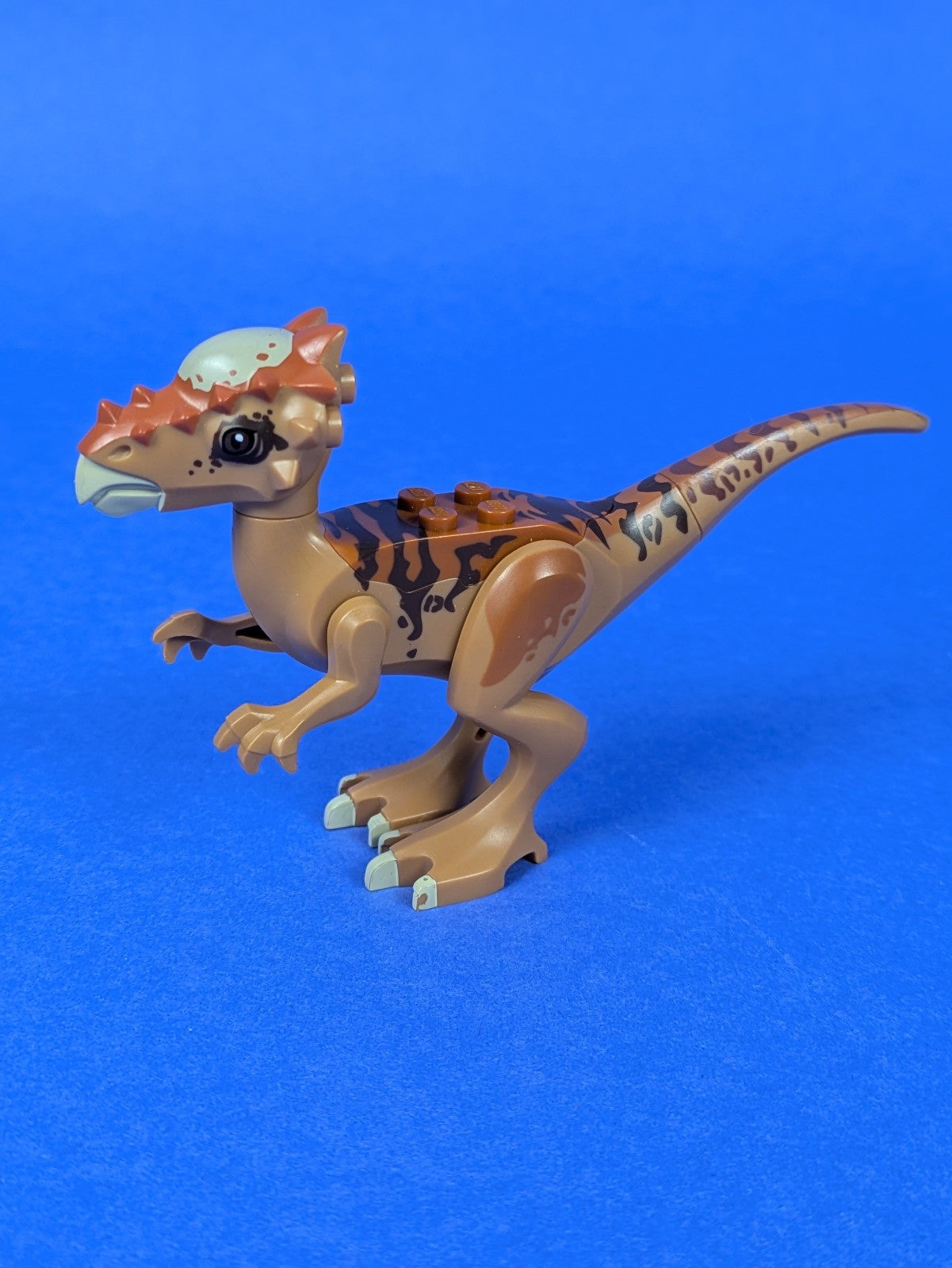 Lego Jurassic World: Animal: Dinosaur Stygimoloch styg01 Set 75927