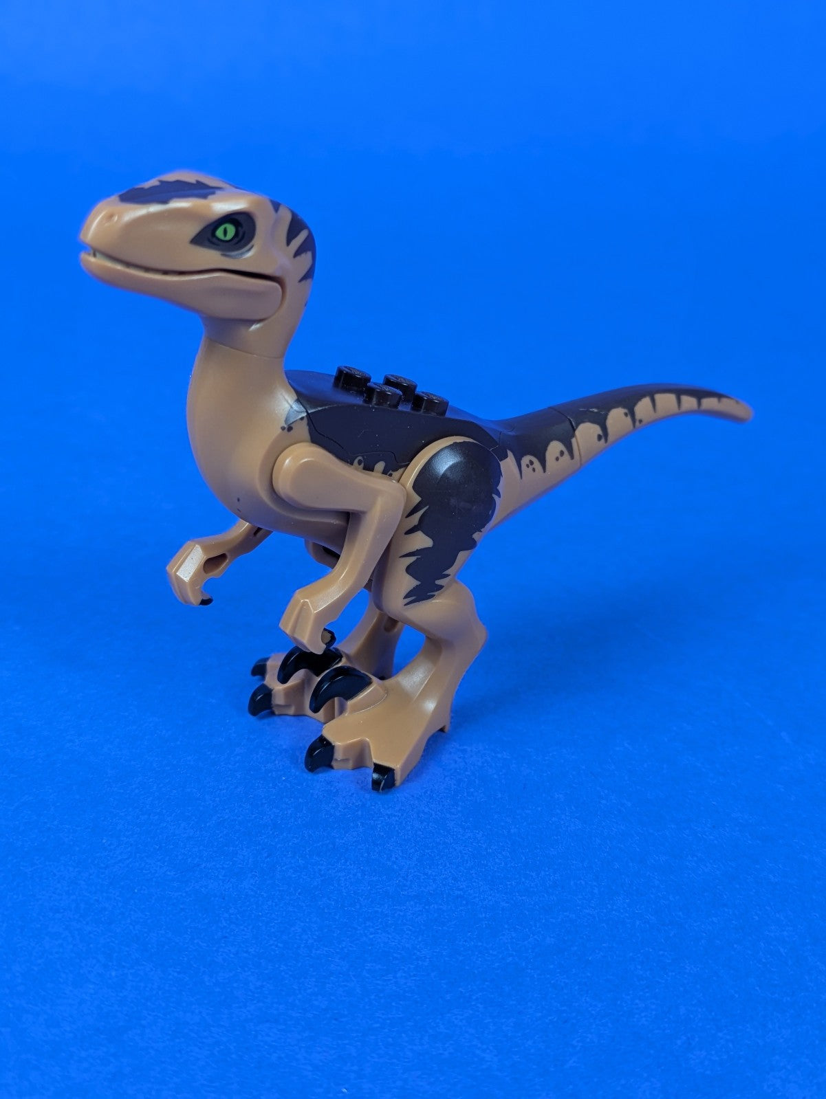 Lego Jurassic World: Animal: Dinosaur Raptor / Velociraptor raptor10 Set 75932