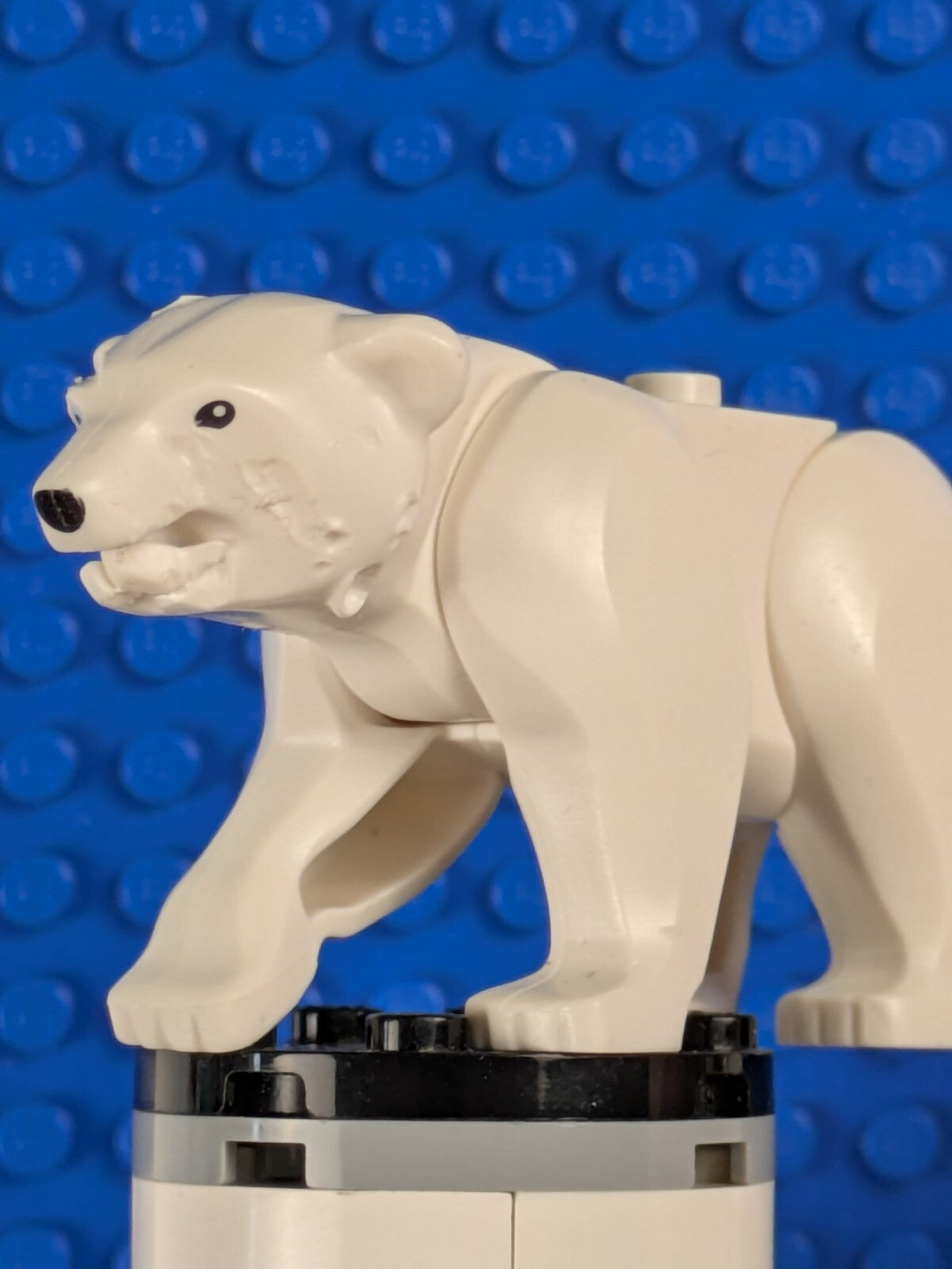 Lego City: Arctic: Polar Bear 98295c01pb01 Set 60036
