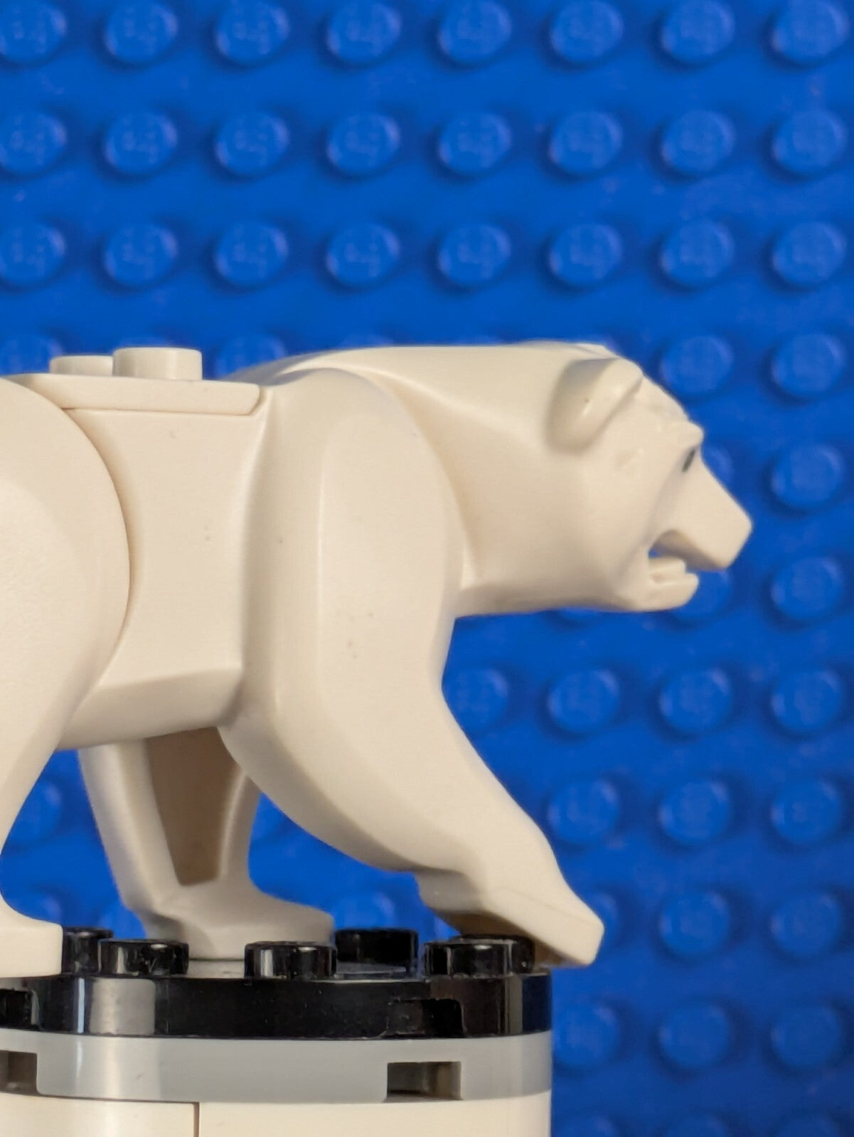 Lego City: Arctic: Polar Bear 98295c01pb01 Set 60036