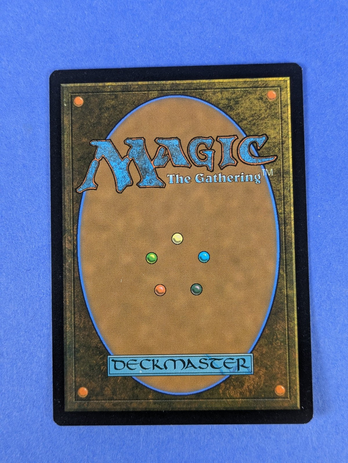 MTG Magic: The Lost Caverns of Ixalan: Forest #0291 Basic Land - NM