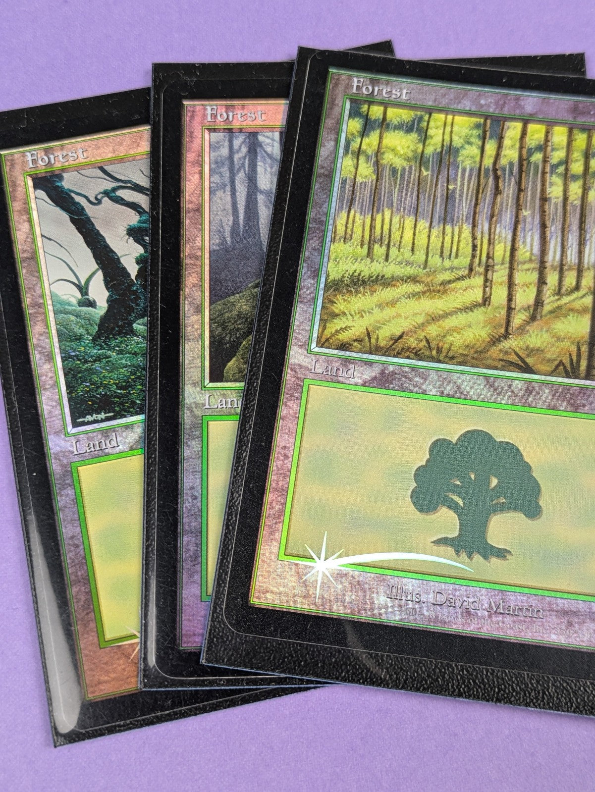 MTG Magic: Onslaught: Forest Foil #350/350 Basic Land - NM