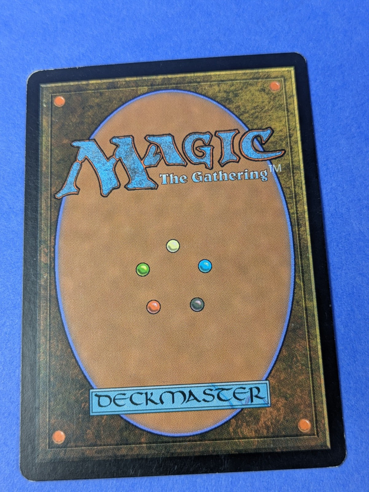 MTG Magic: Champions of Kamigawa: Honden of Life's Web #213/306 Uncommon - LP