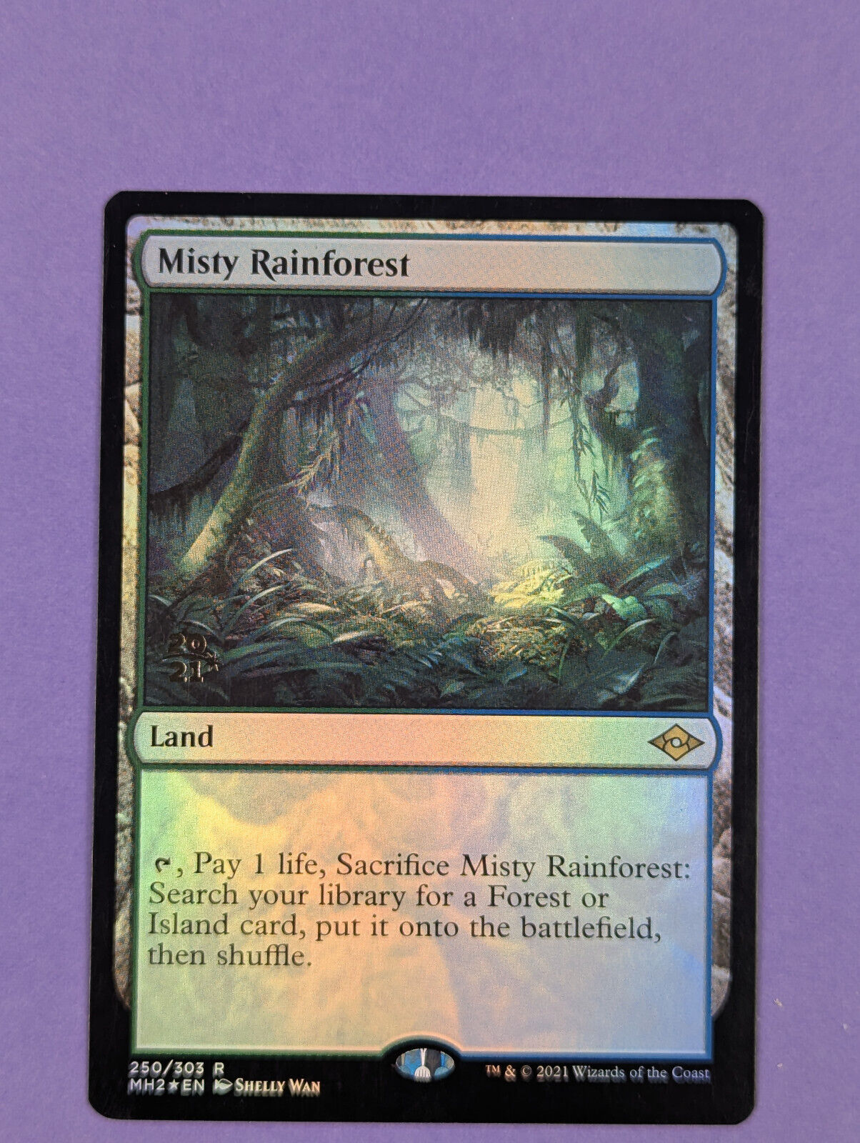 MTG Magic The Gathering: Modern Horizons 2: Misty Rainforest Foil Rare #250/303