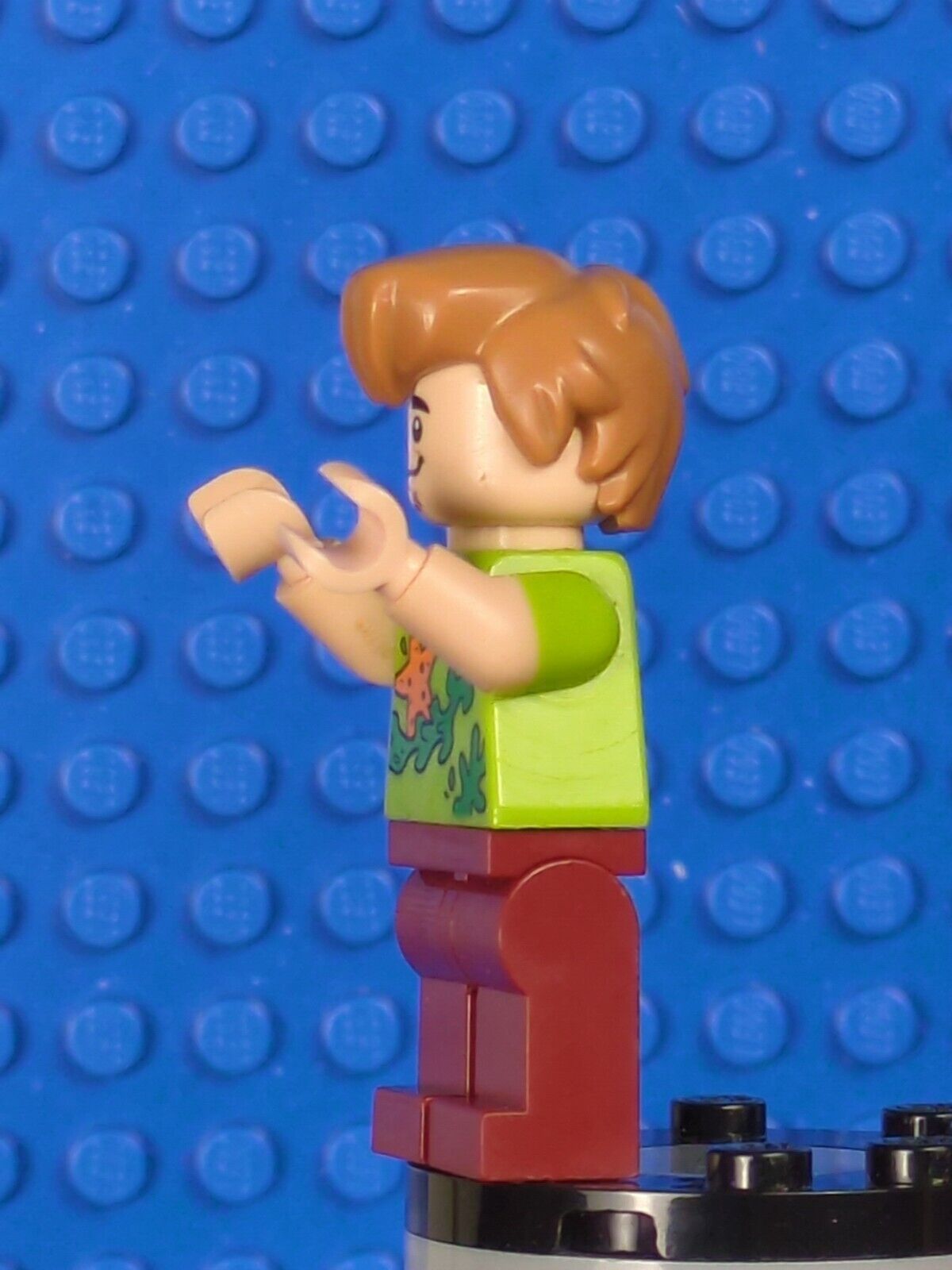 Lego Scooby-Doo: Shaggy Rogers - Seaweed and Starfish Shirt scd012 Set 75903