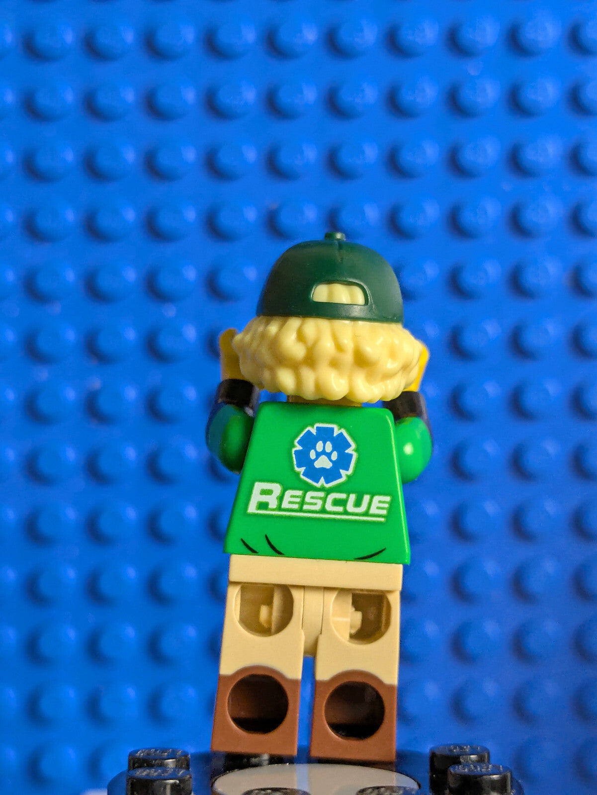 Lego Minifigure Series 24: Conservationist col419 Sets 71037, 66733