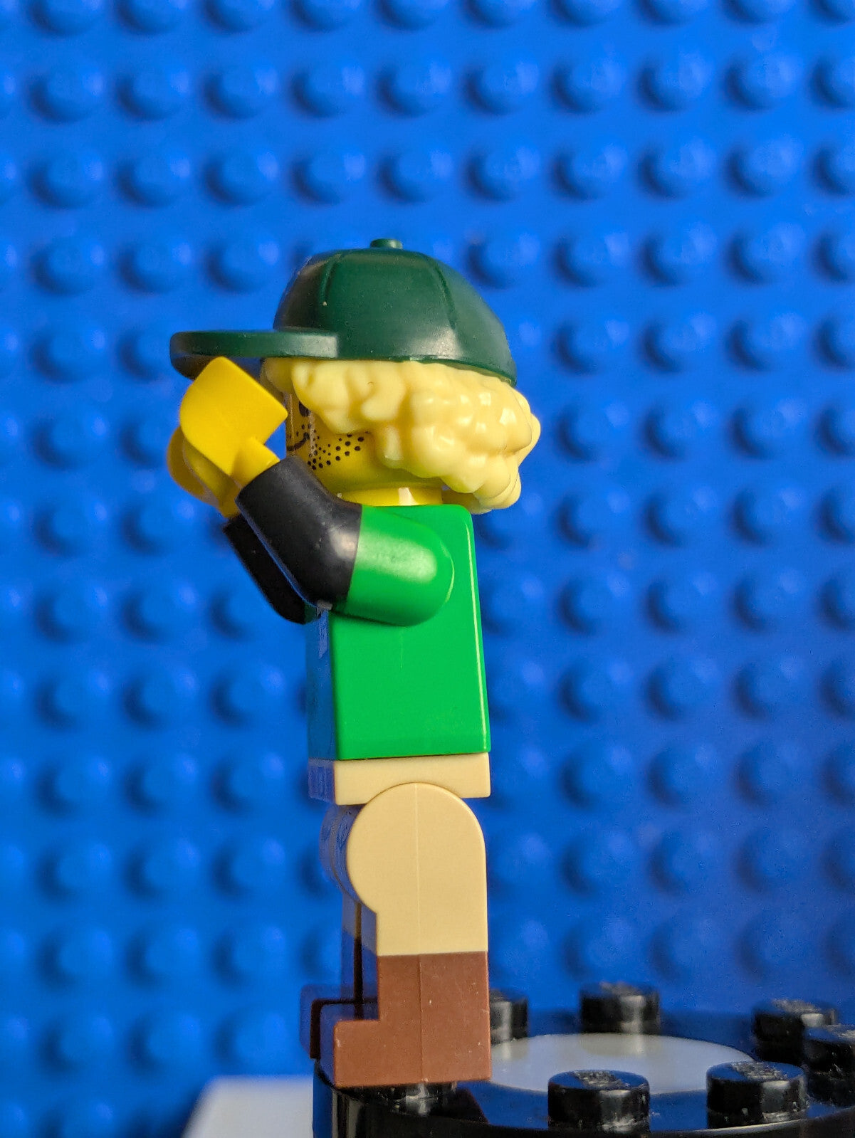 Lego Minifigure Series 24: Conservationist col419 Sets 71037, 66733
