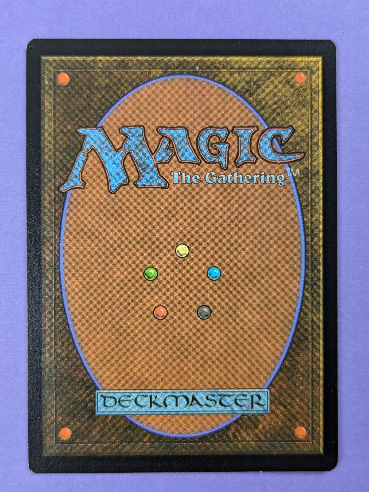 MTG Magic: Adventures in the Forgotten Realms: Delina, Wild Mage #317 Rare - NM