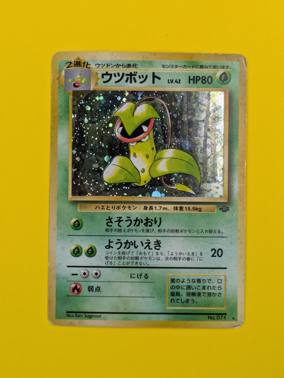 Victreebel - 071 - Holo Rare Jungle Set 1999 Japanese - Pokemon Card - Collector's Kingdom Victreebel - 071 - Holo Rare Jungle Set 1999 Japanese - Pokemon Card - Collector's Kingdom