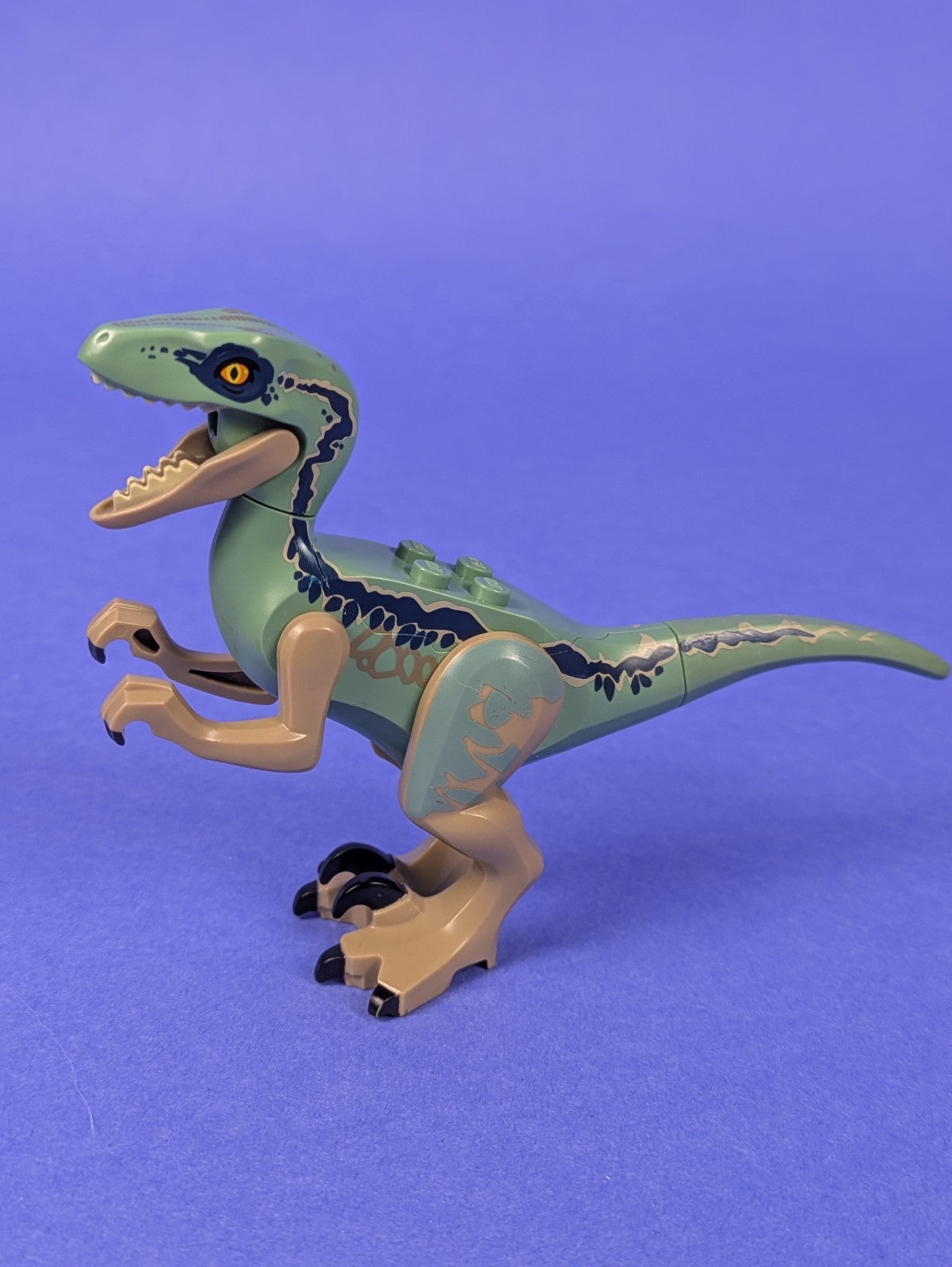 Lego Jurassic World: Animal: Dinosaur Raptor / Velociraptor raptor09 Set 75930