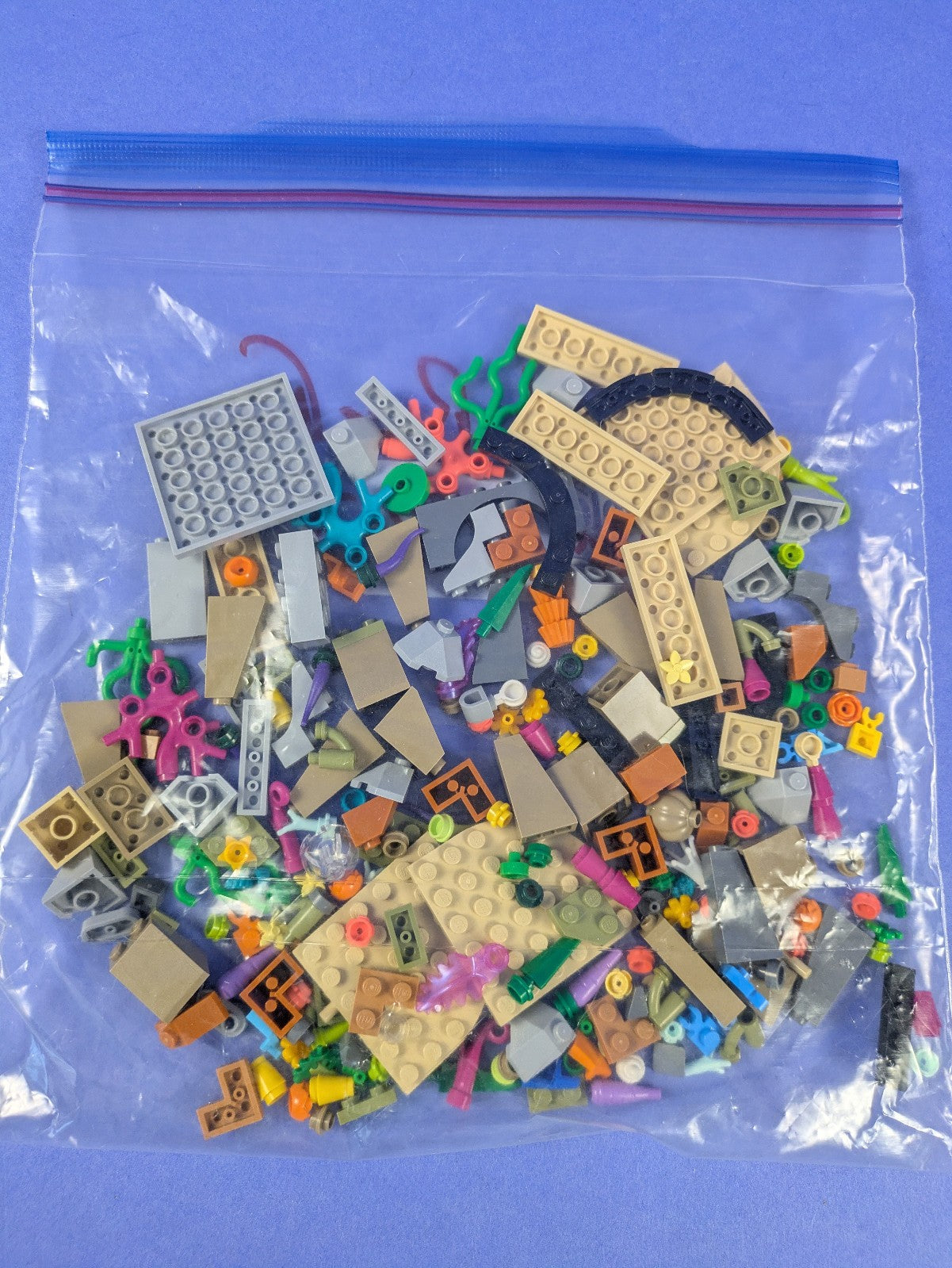 LEGO Promotional Coral Reef Diorama 40783 Complete Set Pre-Owned