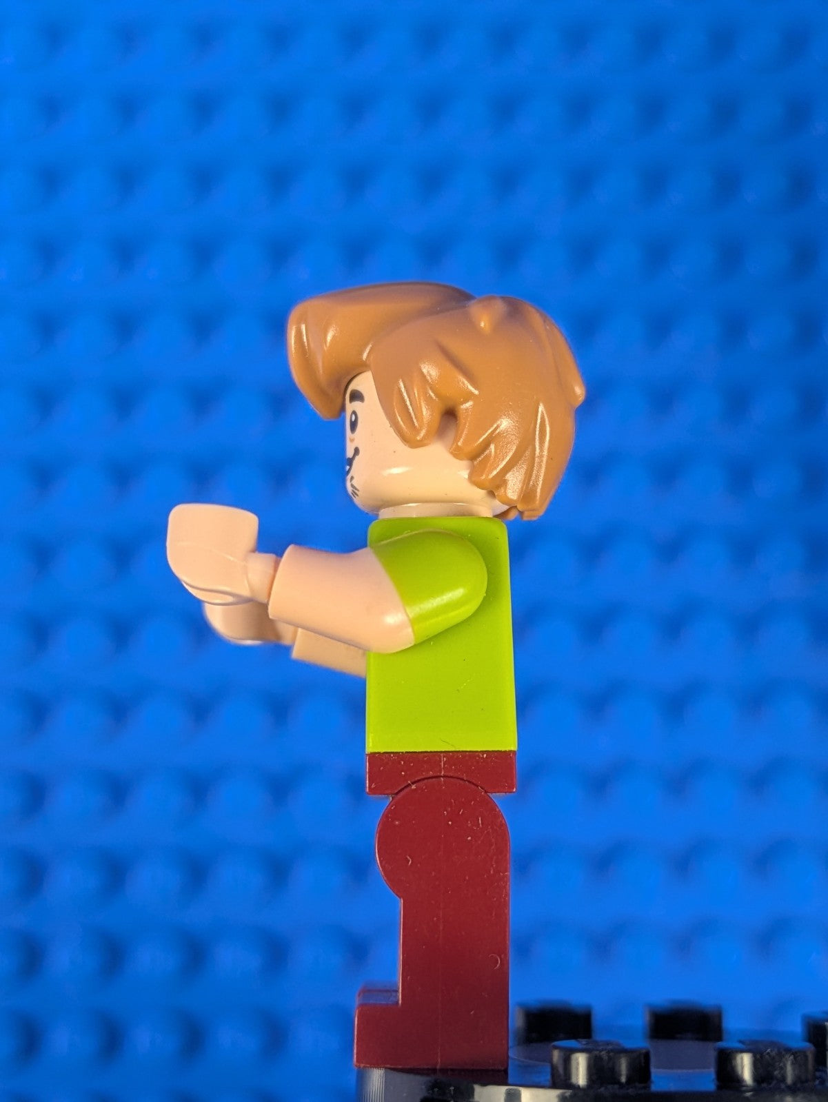 Lego Scooby-Doo: Shaggy Rogers - Seaweed and Starfish Shirt scd012 Set 75903