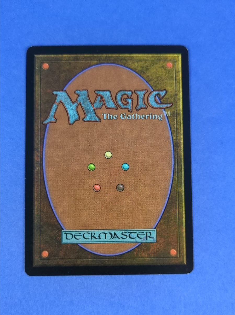 MTG Magic the Gathering: Seventh Edition: Forest Foil #331 Common - NM
