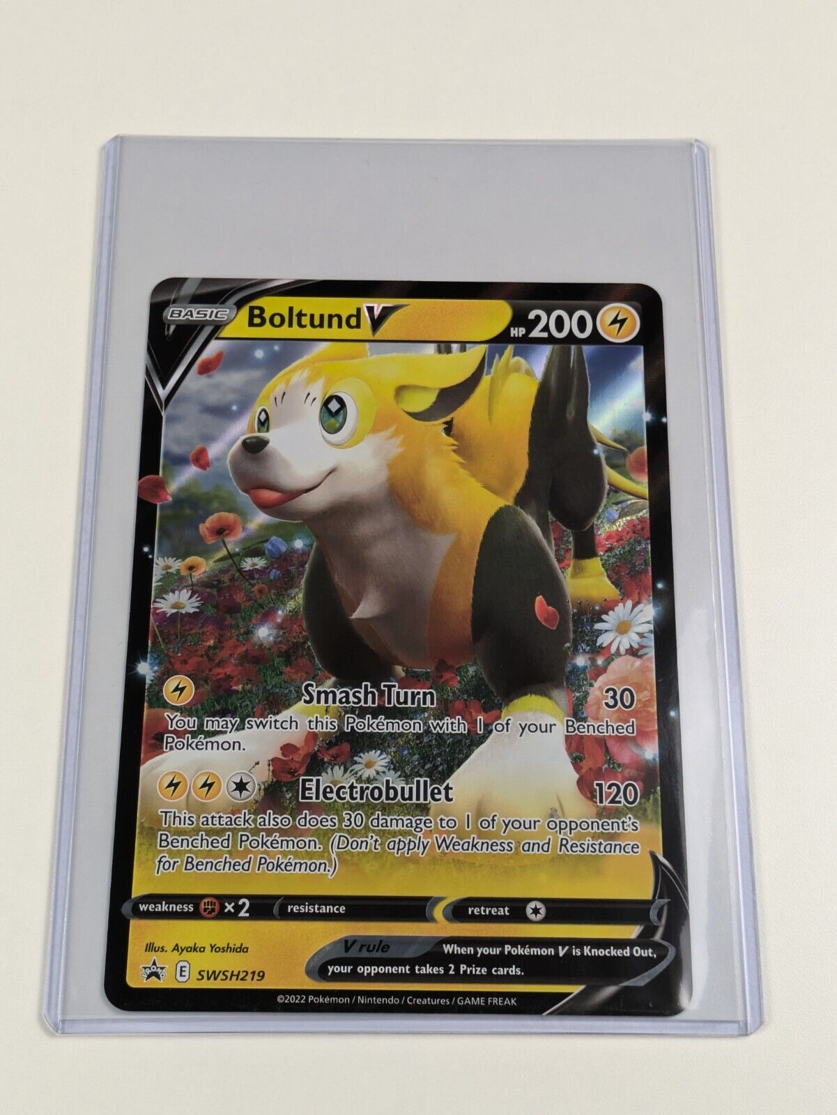 pokemon cards boltund Boltund V