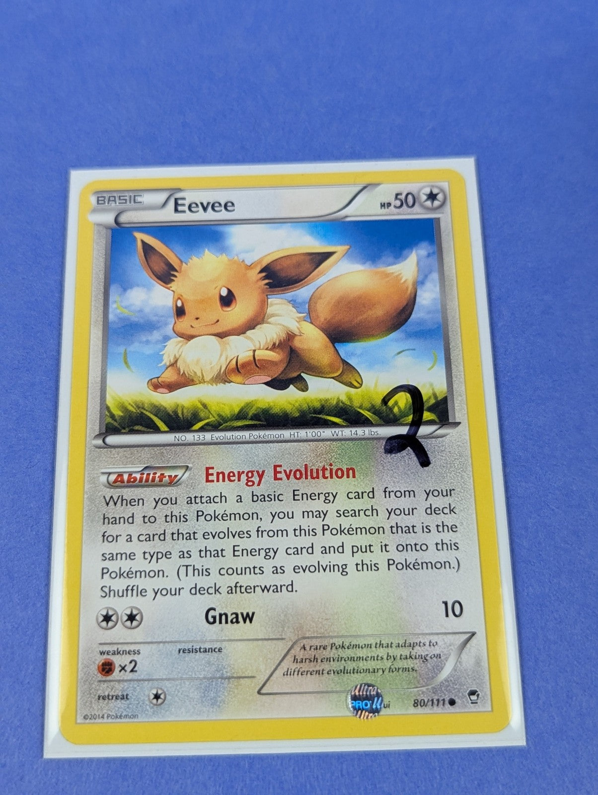 Eevee - 80/111 - Common Furious Fists - Pokemon Card - LP