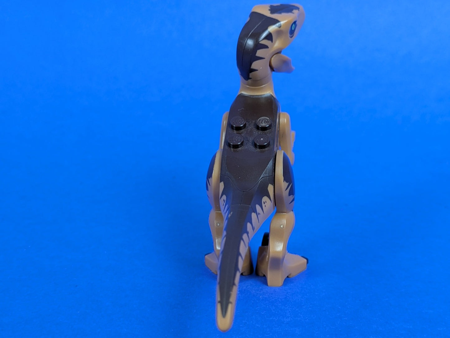 Lego Jurassic World: Dinosaur: Velociraptor - Dark Brown Back raptor10 Set 75932