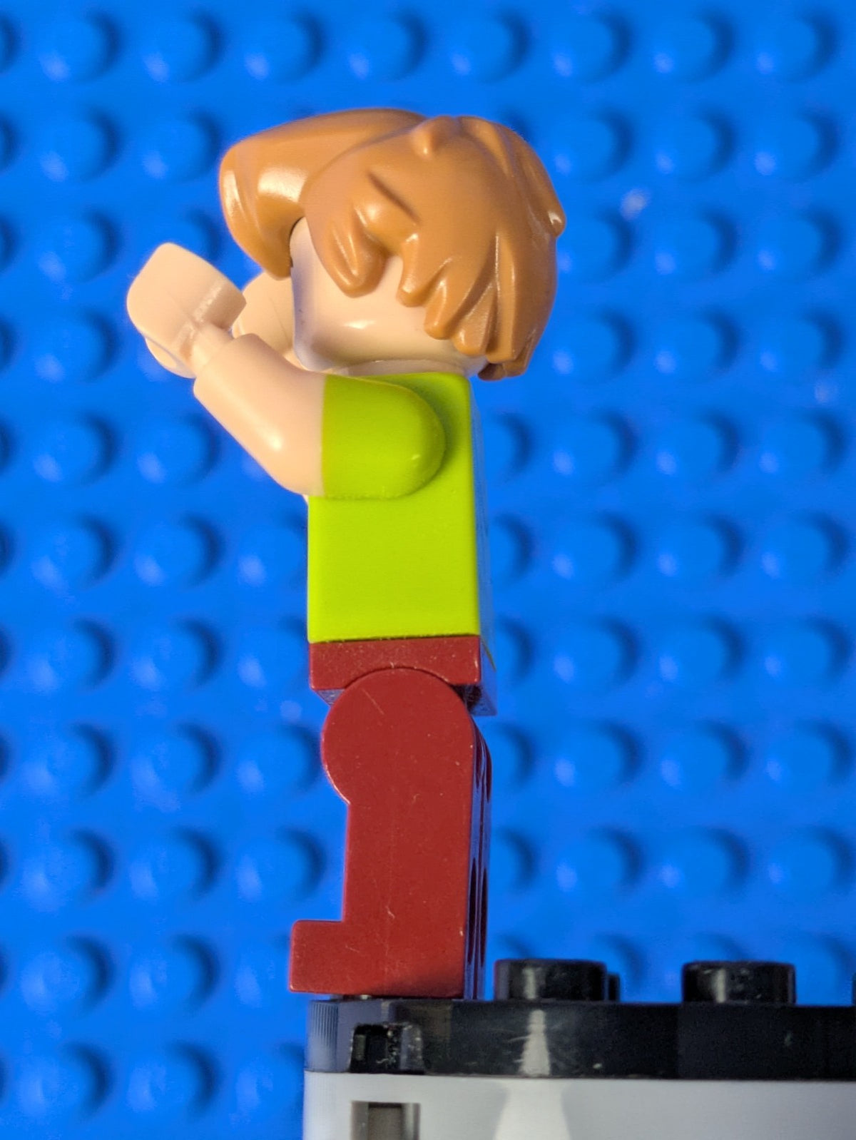 Lego Scooby-Doo: Shaggy Rogers - Closed Mouth scd001 Set 75901