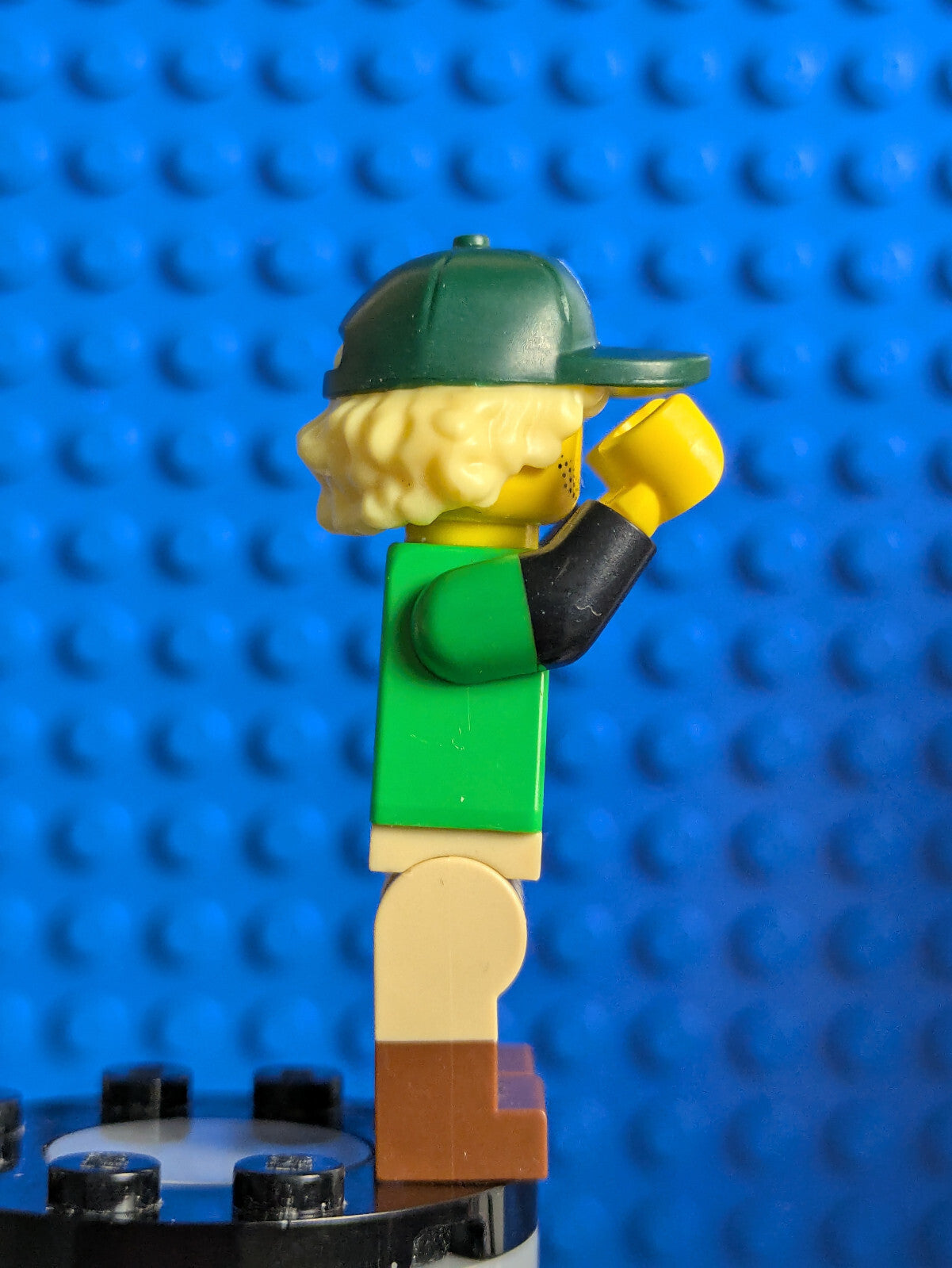 Lego Minifigure Series 24: Conservationist col419 Sets 71037, 66733