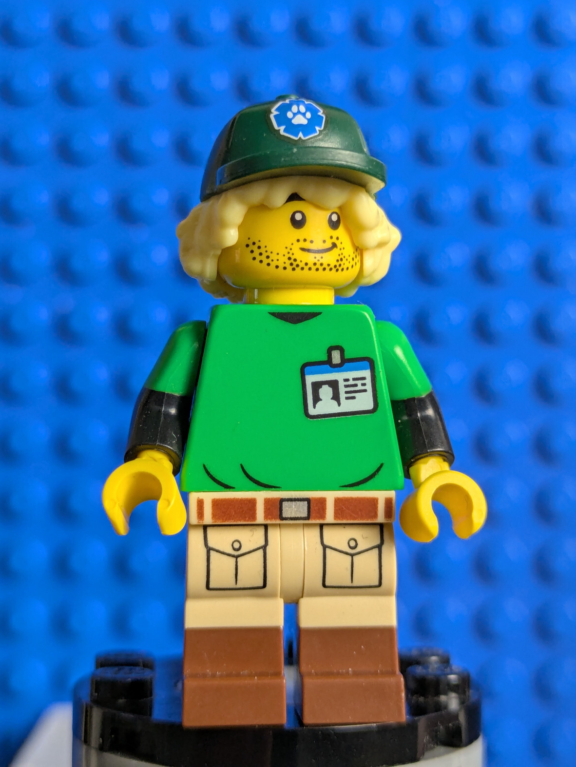 Lego Minifigure Series 24: Conservationist col419 Sets 71037, 66733
