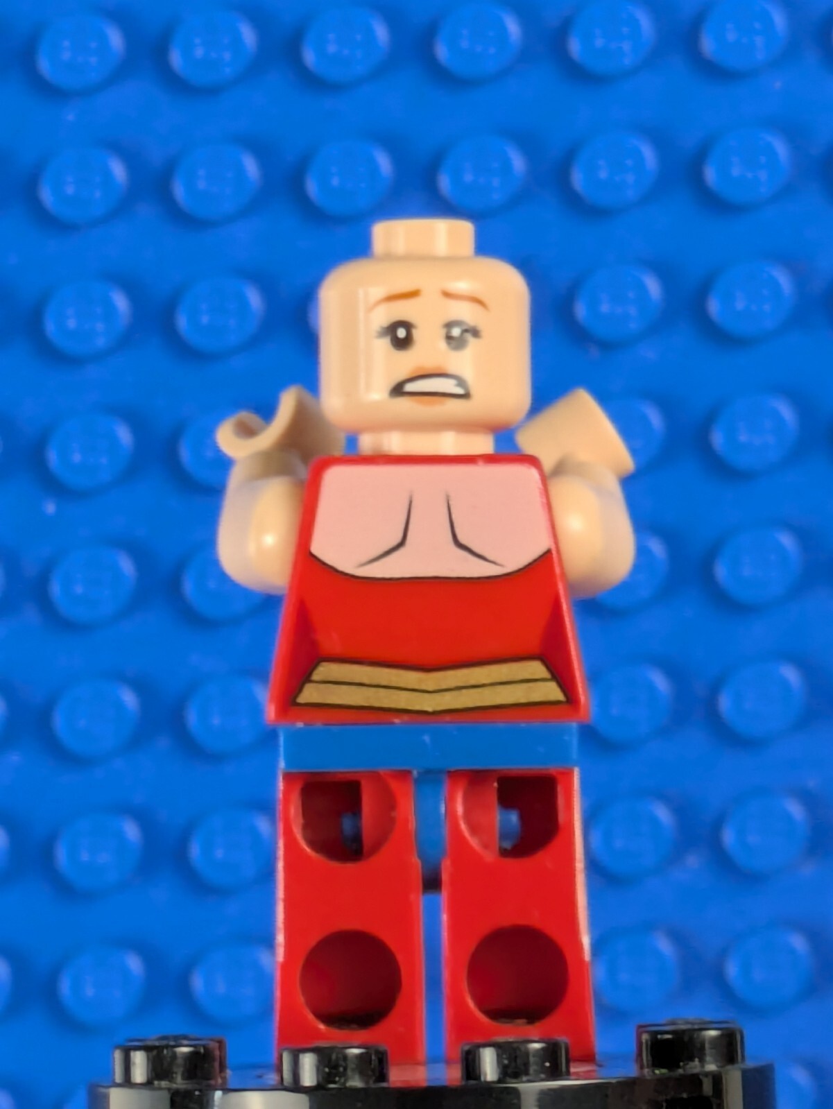 Lego DC Comics Super Heroes: Superman: Wonder Woman sh0004 Set 6862-2