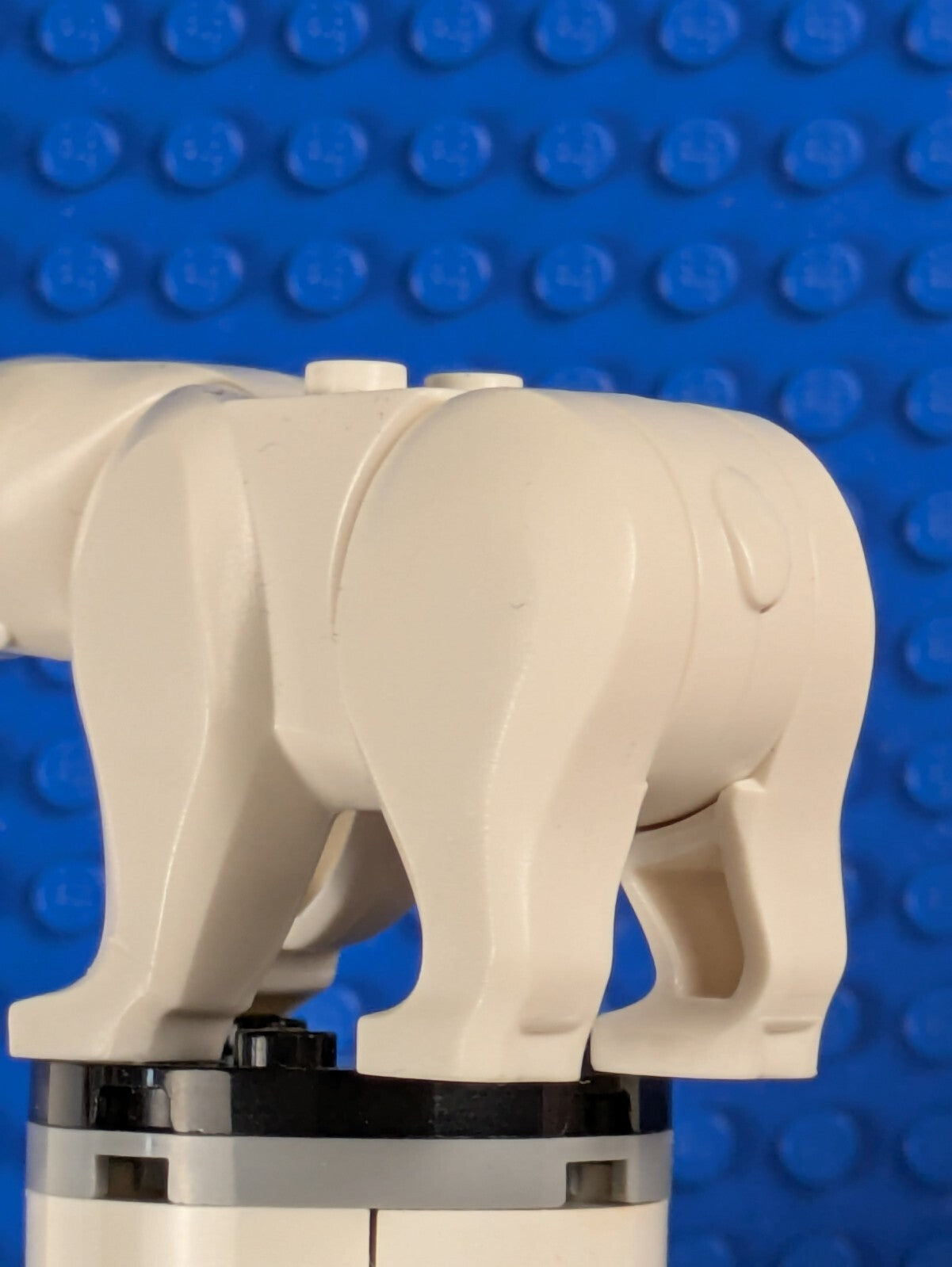 Lego City: Arctic: Polar Bear 98295c01pb01 Set 60036