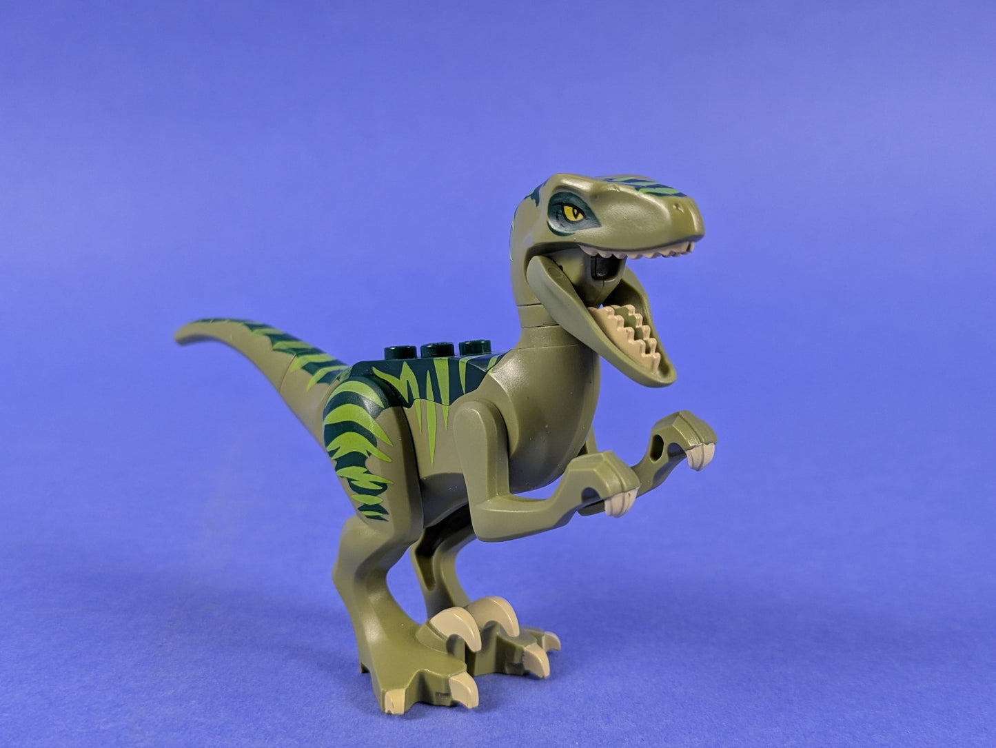 Lego Dino: Dinosaur Raptor Velociraptor with Dark Green Back raptor02 Set 5884