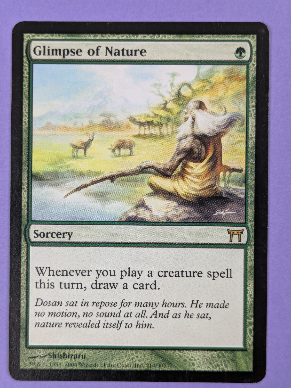 MTG Magic: Champions of Kamigawa: Glimpse of Nature #210/306 Rare - NM