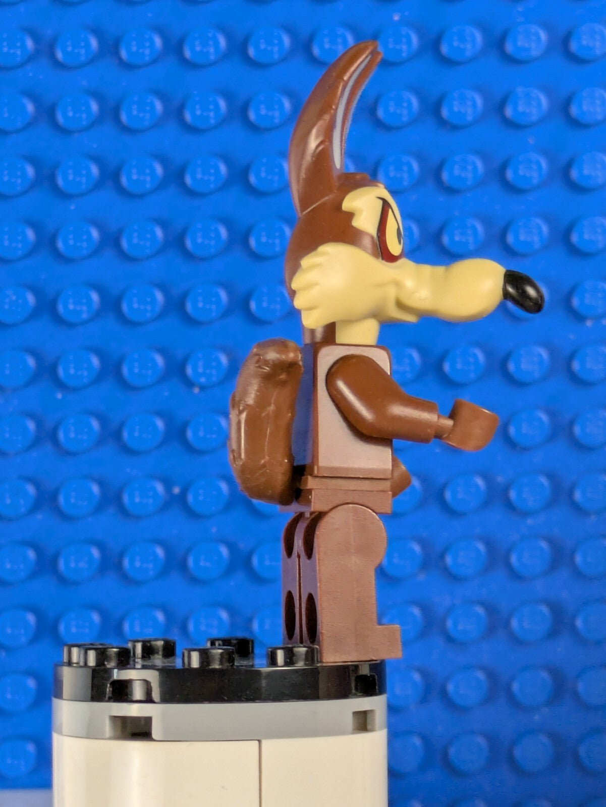Lego Collectible Minifigures: Looney Tunes: Wile E. Coyote collt-3 Set 71030