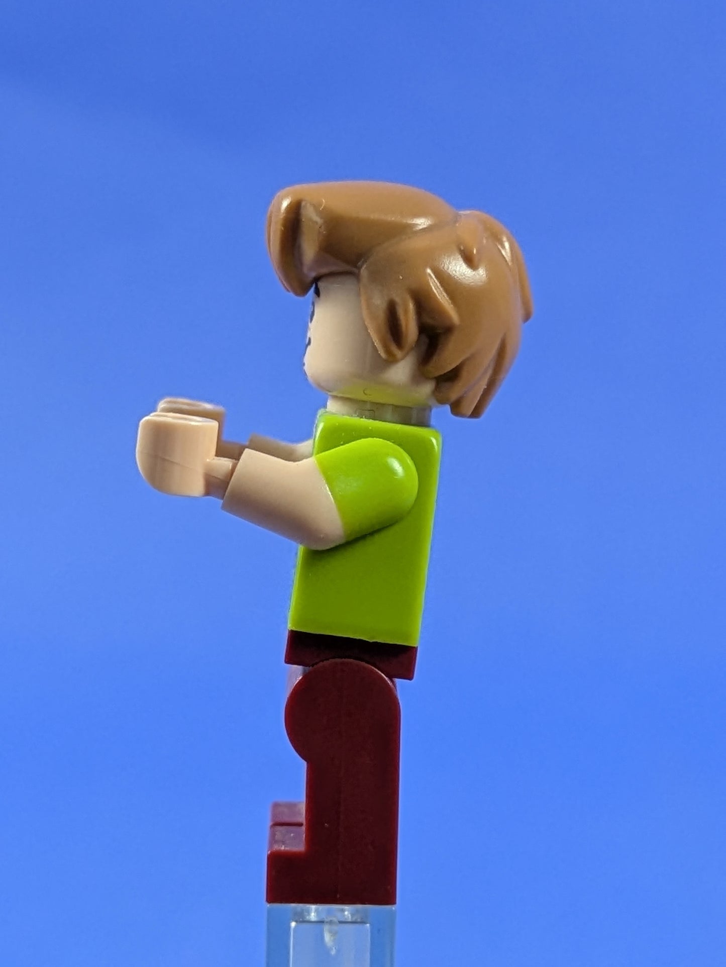 LEGO Shaggy Rogers - Seaweed and Starfish Shirt scd012 75903