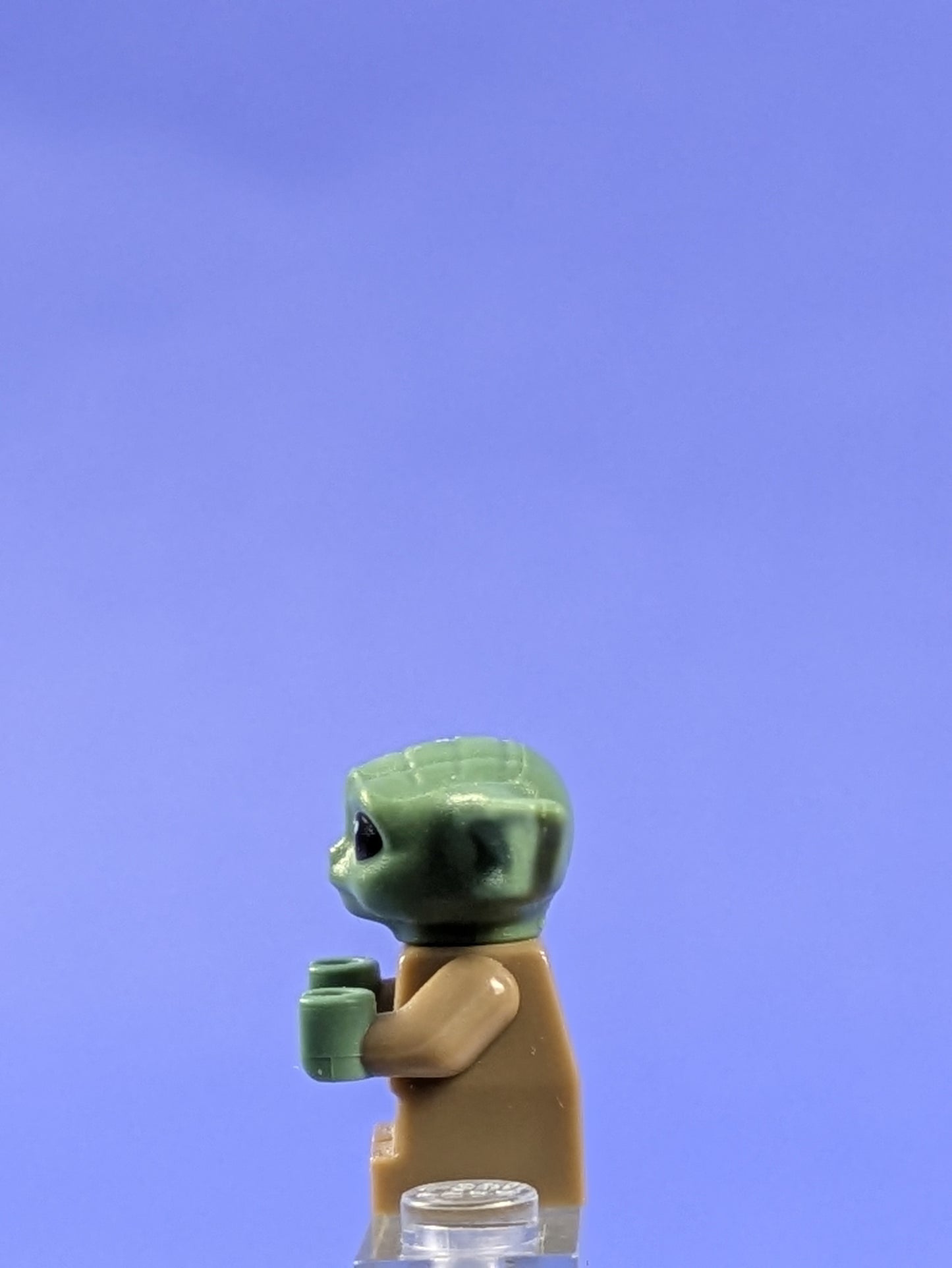 LEGO Star Wars Din Grogu / The Child / 'Baby Yoda' sw1113 75318