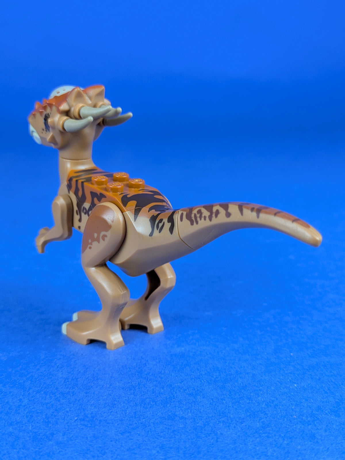 LEGO Jurassic World Dinosaur Stygimoloch styg01 75927