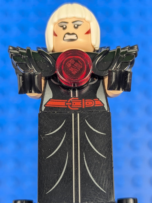 Lego Super Heroes: The LEGO Batman Movie: Magpie sh0333 Set 70903