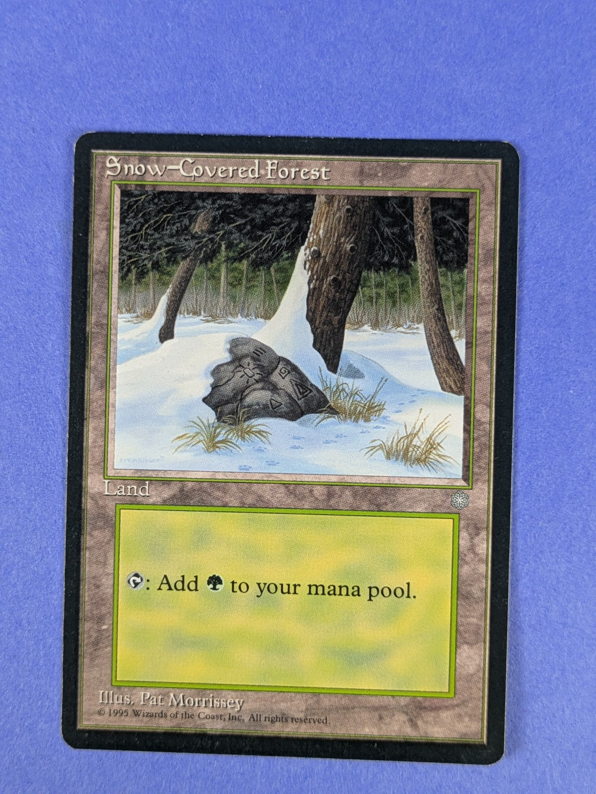 MTG Magic the Gathering: Ice Age: Snow-Covered Forest #383 Basic - LP