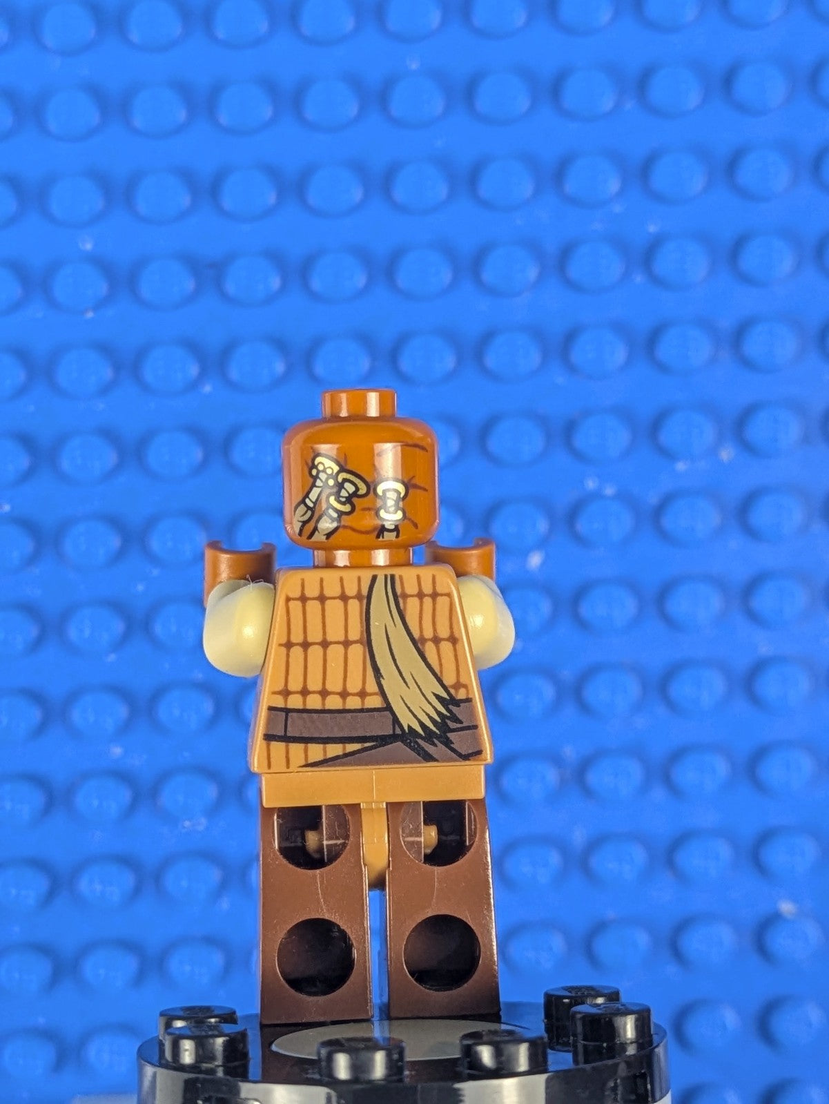 Lego Star Wars: Weequay Skiff Guard (Rintel Aren) sw0821 Set 75174