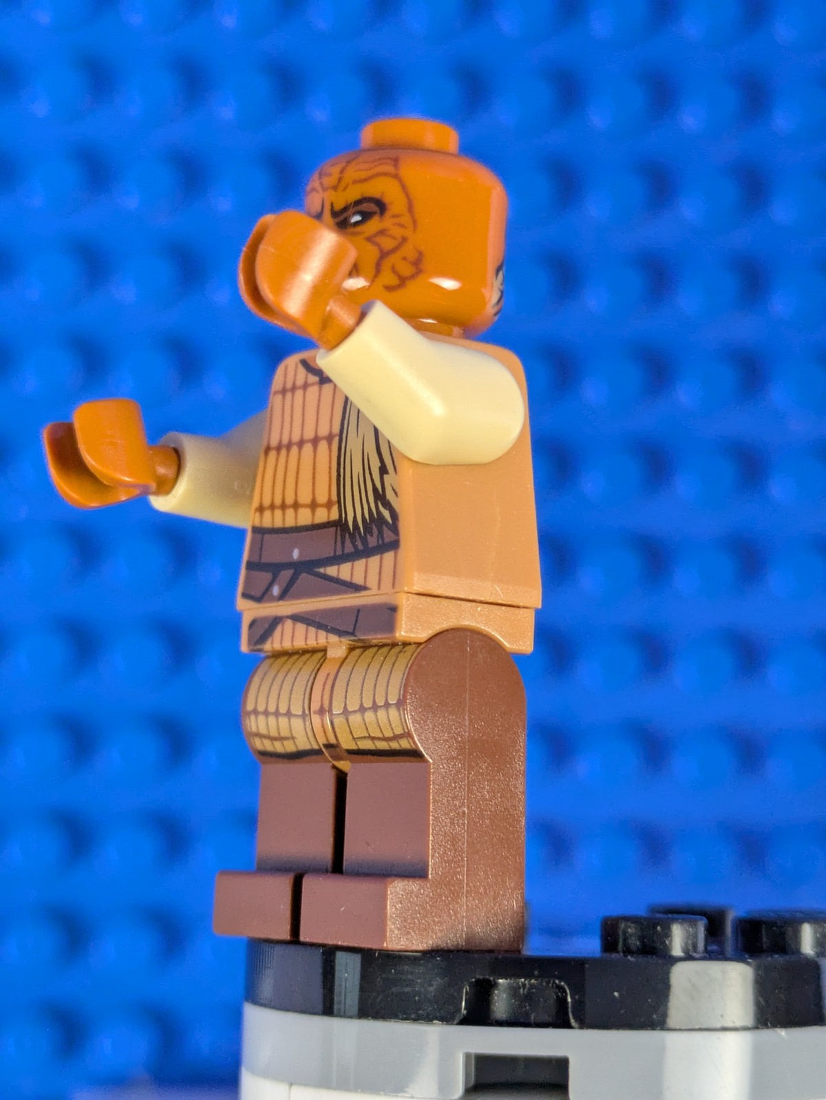 Lego Star Wars: Weequay Skiff Guard (Rintel Aren) sw0821 Set 75174