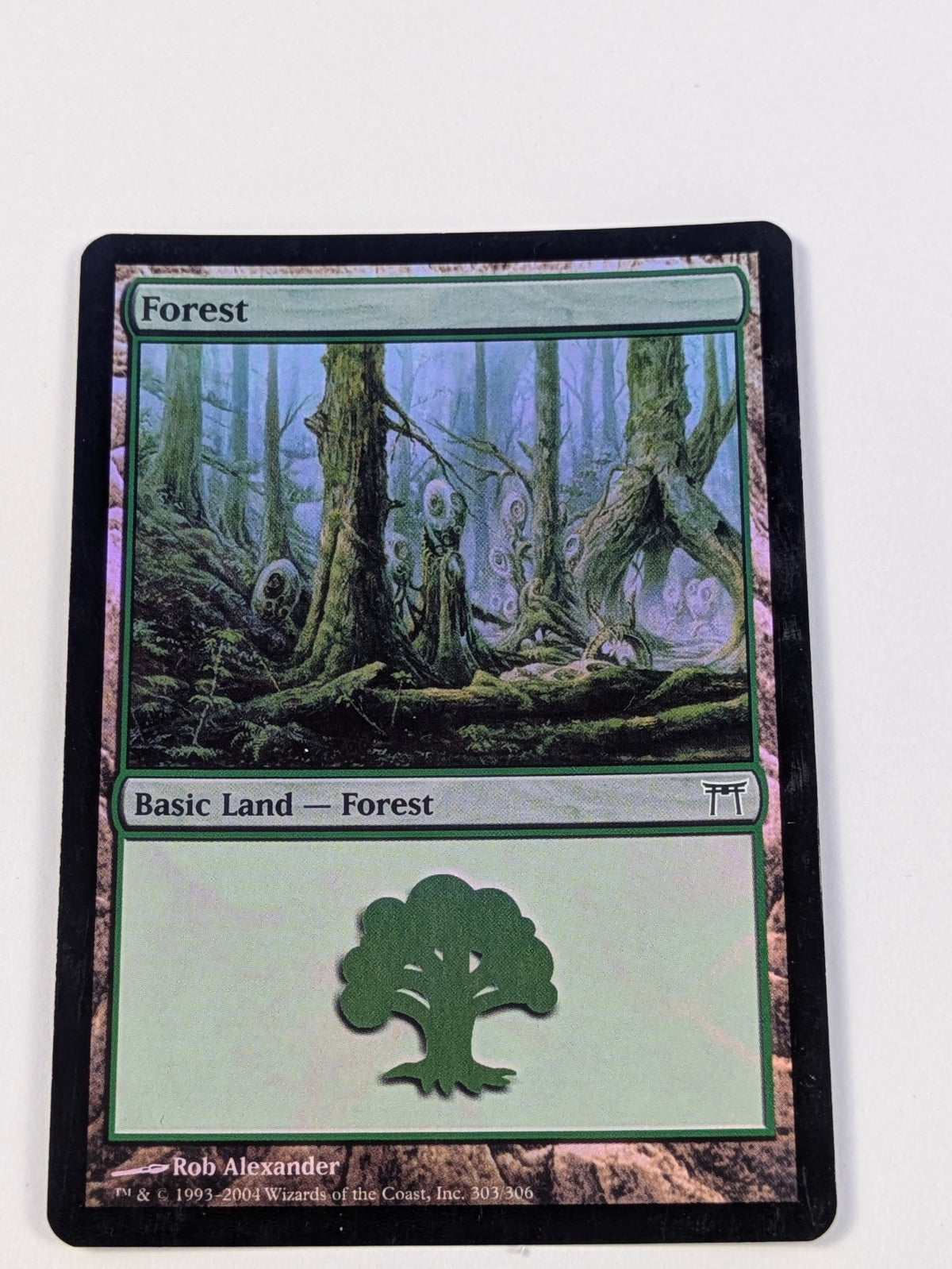 MTG Magic: Champions of Kamigawa: Forest #303/306 Basic Land - LP