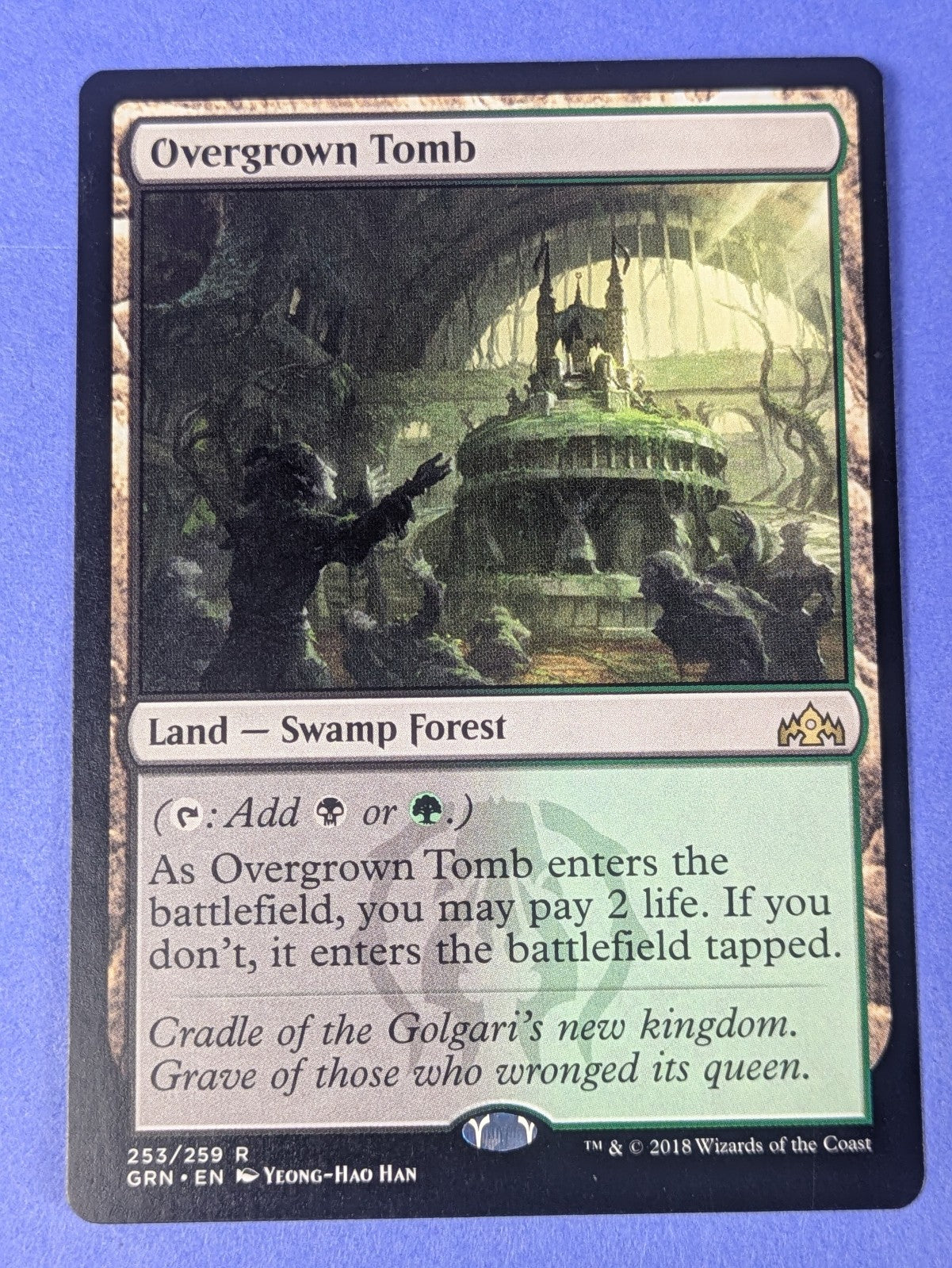 MTG Magic: Guilds of Ravnica: Overgrown Tomb #253/259 Rare - NM