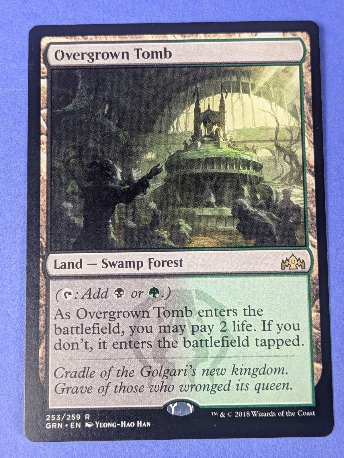 MTG Magic: Guilds of Ravnica: Overgrown Tomb #253/259 Rare - NM