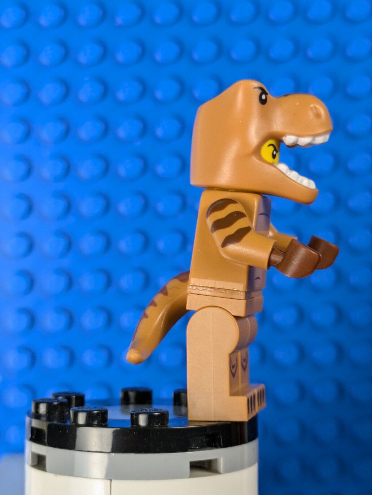 Lego Minifigure Series 24: T-Rex Costume Fan col417 Sets 71037, 66733