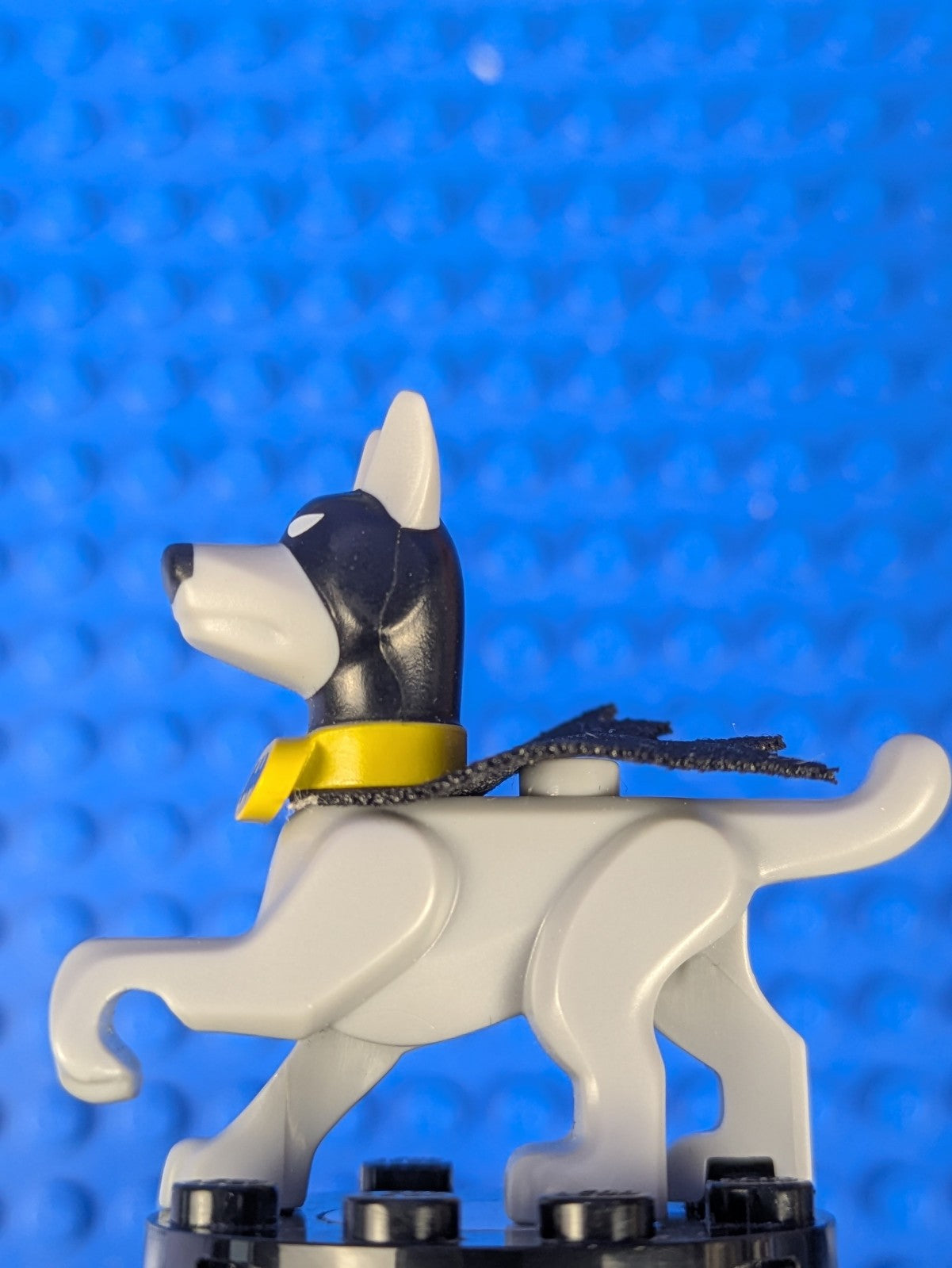Lego Scooby-Doo: Animal: Dog - Ace the Bat-Hound 35033c02 Set 76110