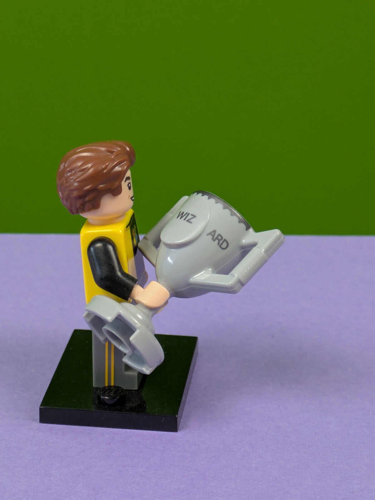 Lego Harry Potter: Fantastic Beasts: Cedric Diggory colhp-12 Set 6213829