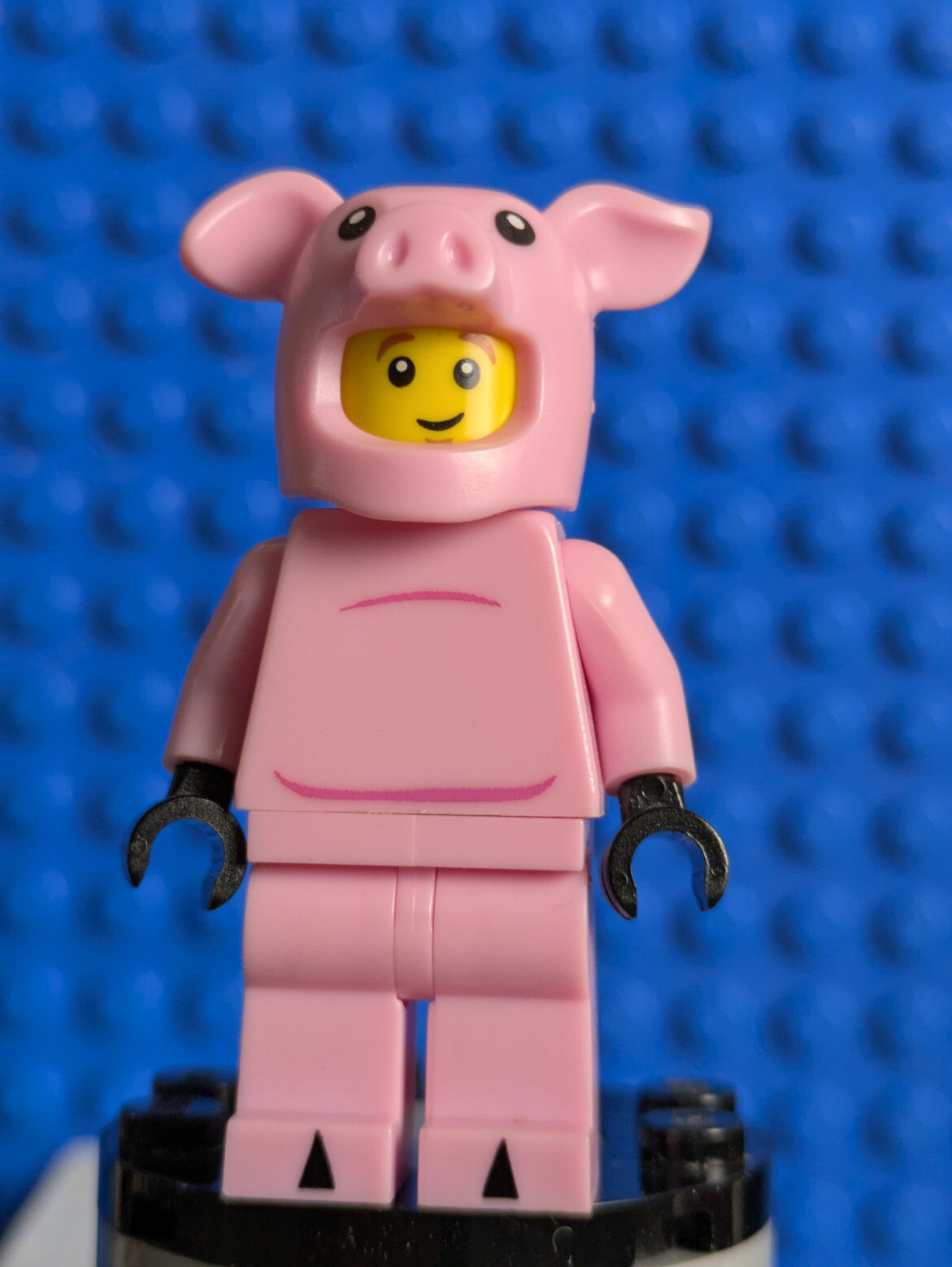 Lego Minifigure Series 12: Piggy Guy col192 Sets 71007, 6059291