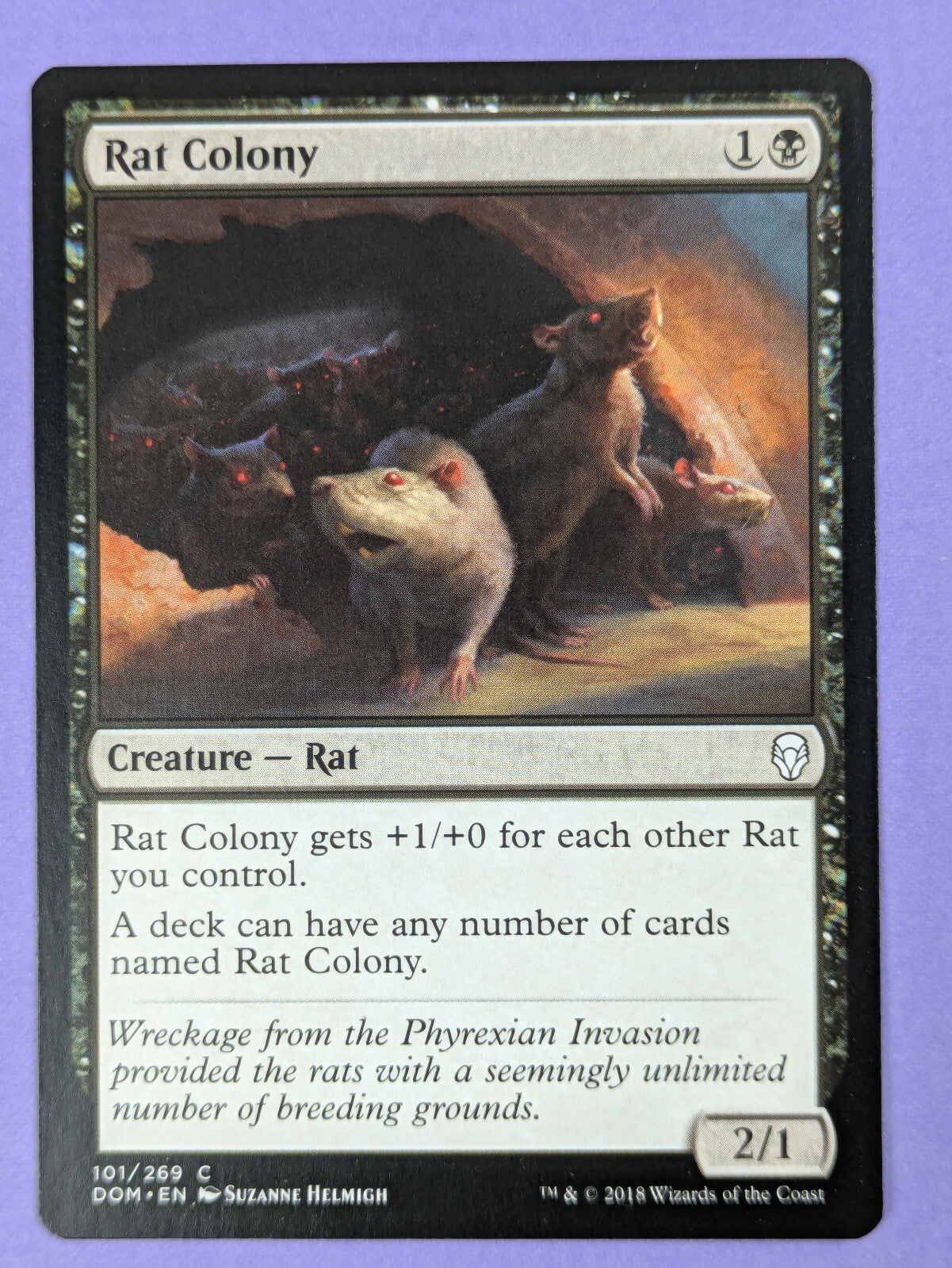 MTG Magic The Gathering: Dominaria: Rat Colony #101/269 Common - NM