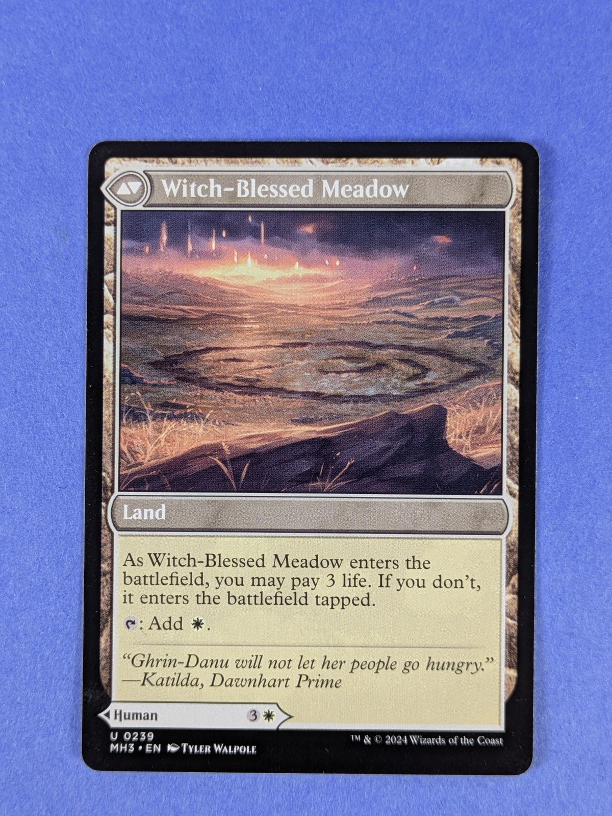 MTG: Modern Horizons 3: Witch Enchanter / Witch-Blessed Meadow #0239 Uncommon NM