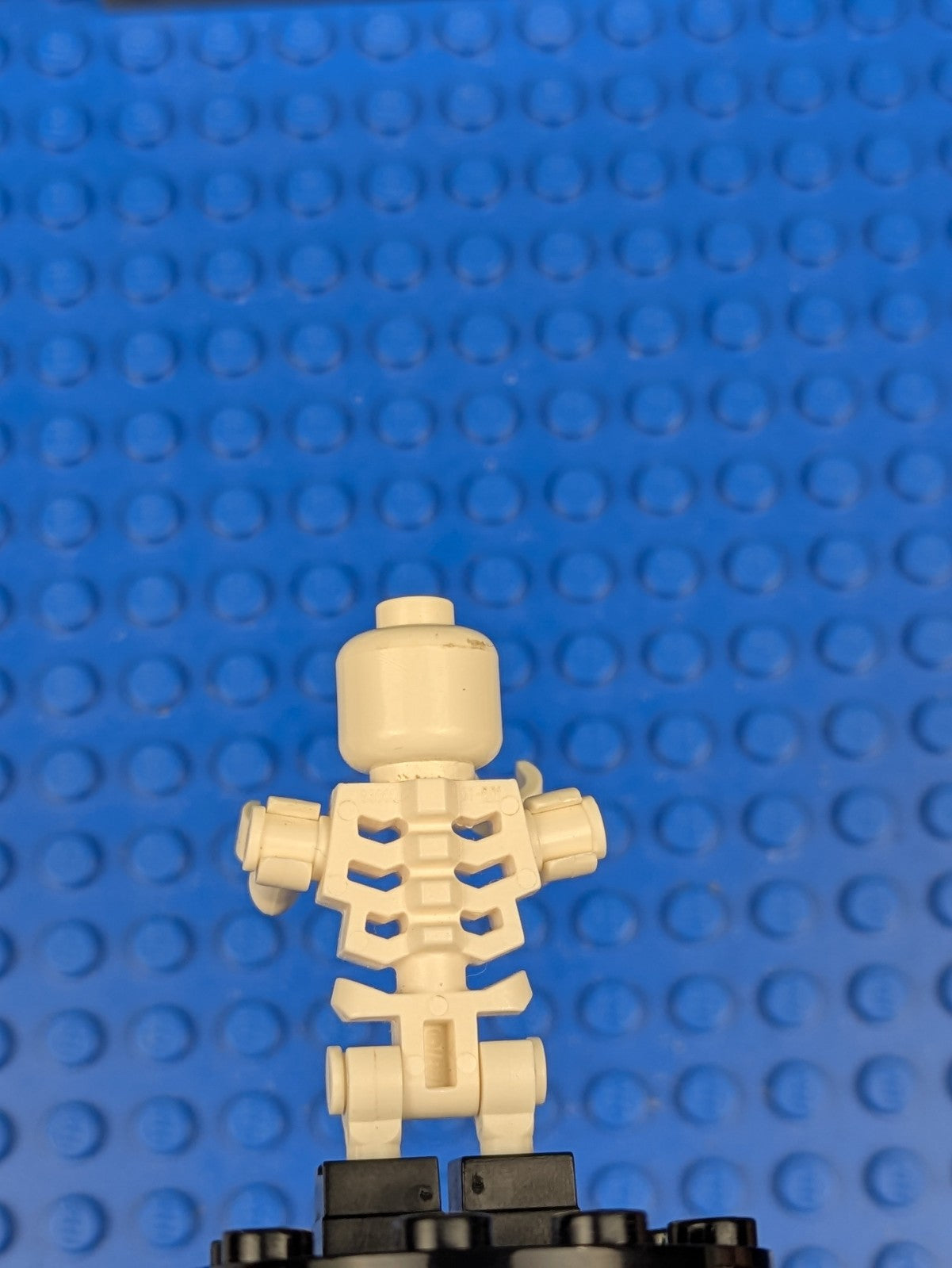Lego Pirates of the Caribbean: Skeleton Barbossa poc003 Set 4181