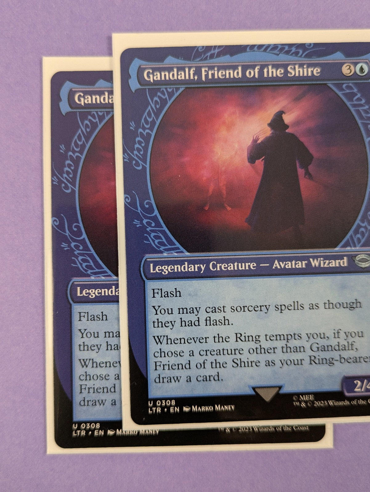MTG: The Lord of the Rings: Gandalf, Friend of the Shire #0308 Uncommon - NM