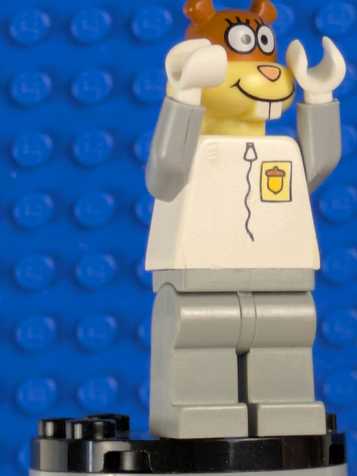 Lego SpongeBob SquarePants: General: Sandy Cheeks no Helmet bob012 Set 3831